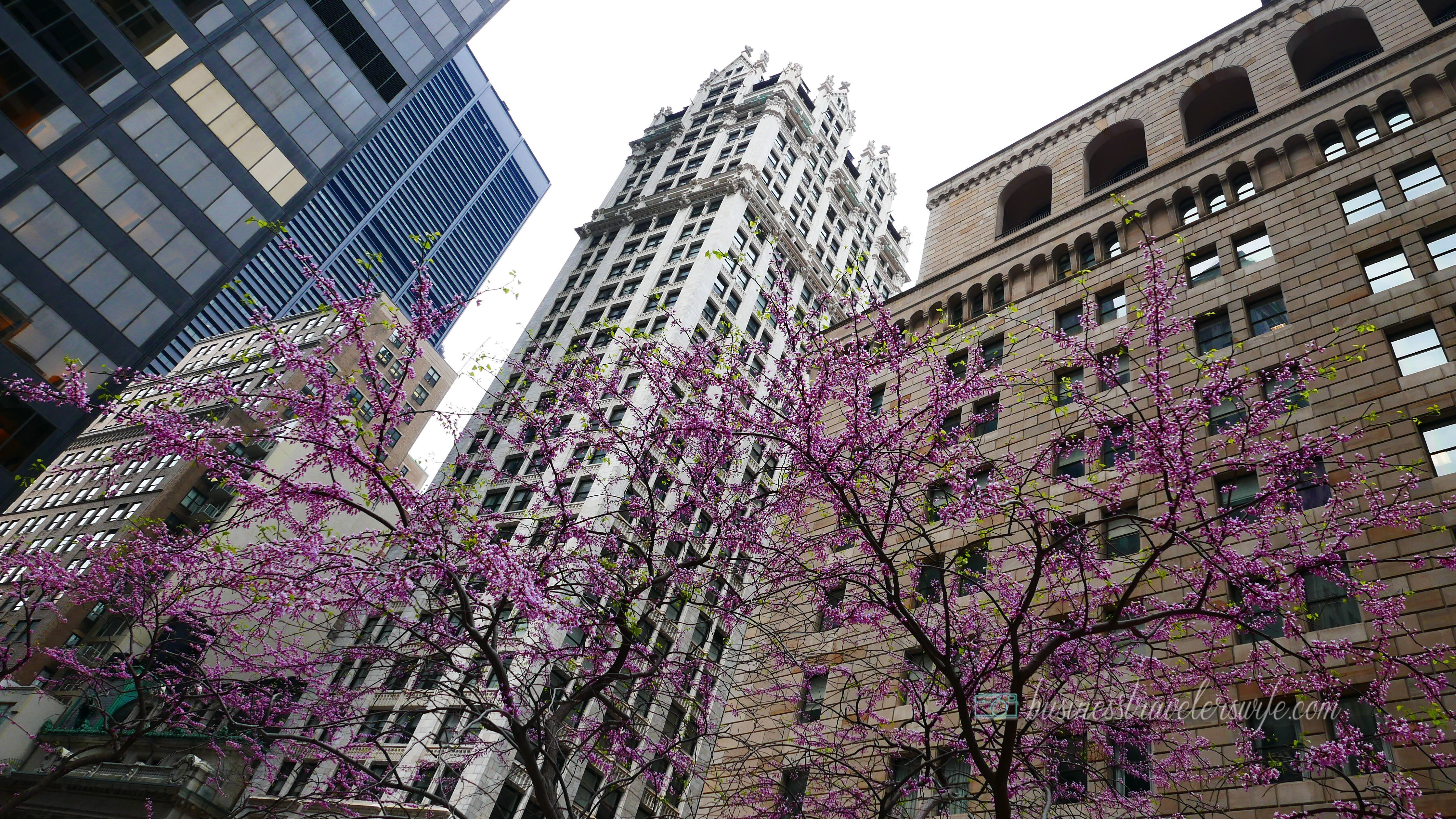 New York - Photography