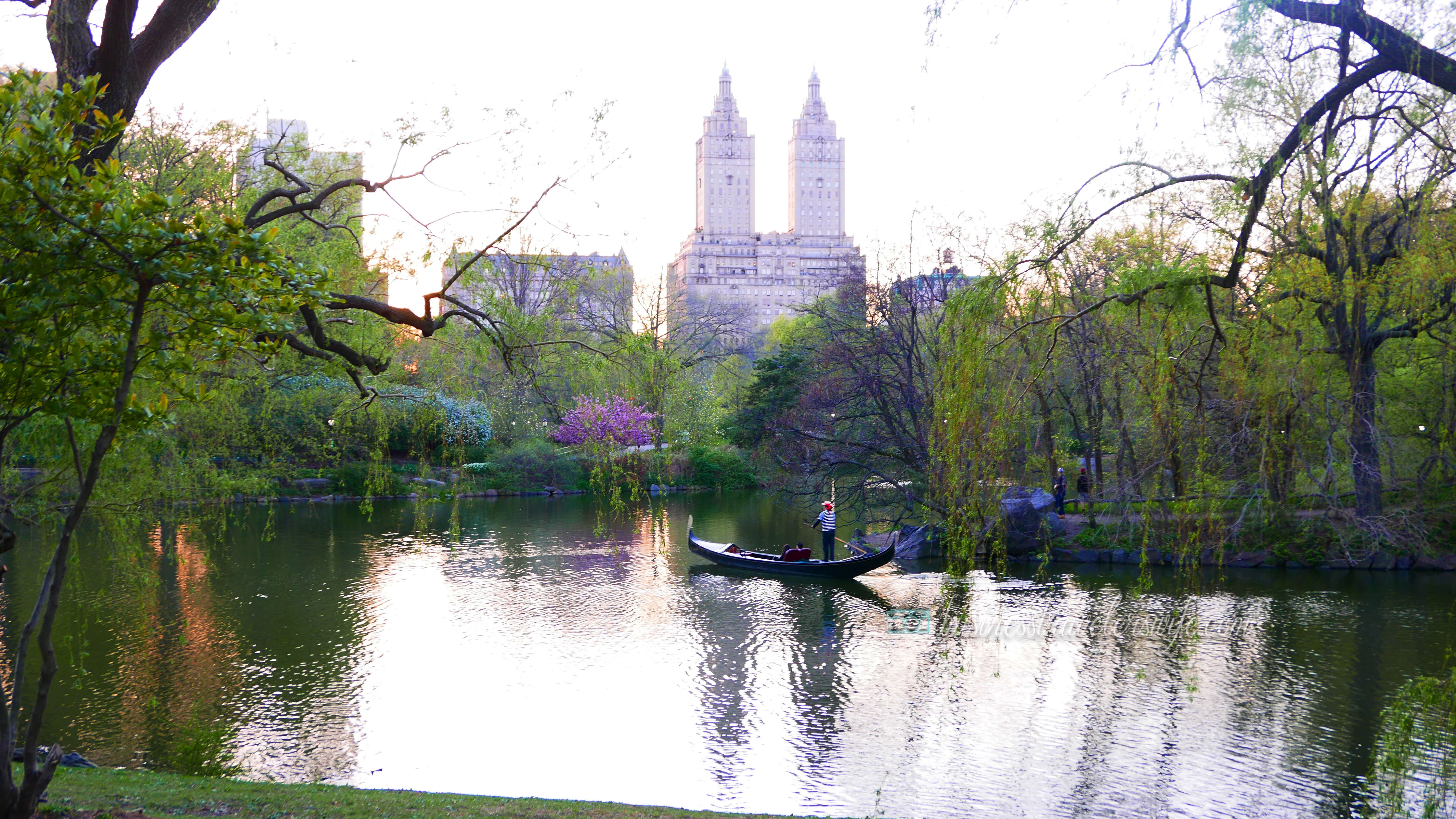 New York - Central Park