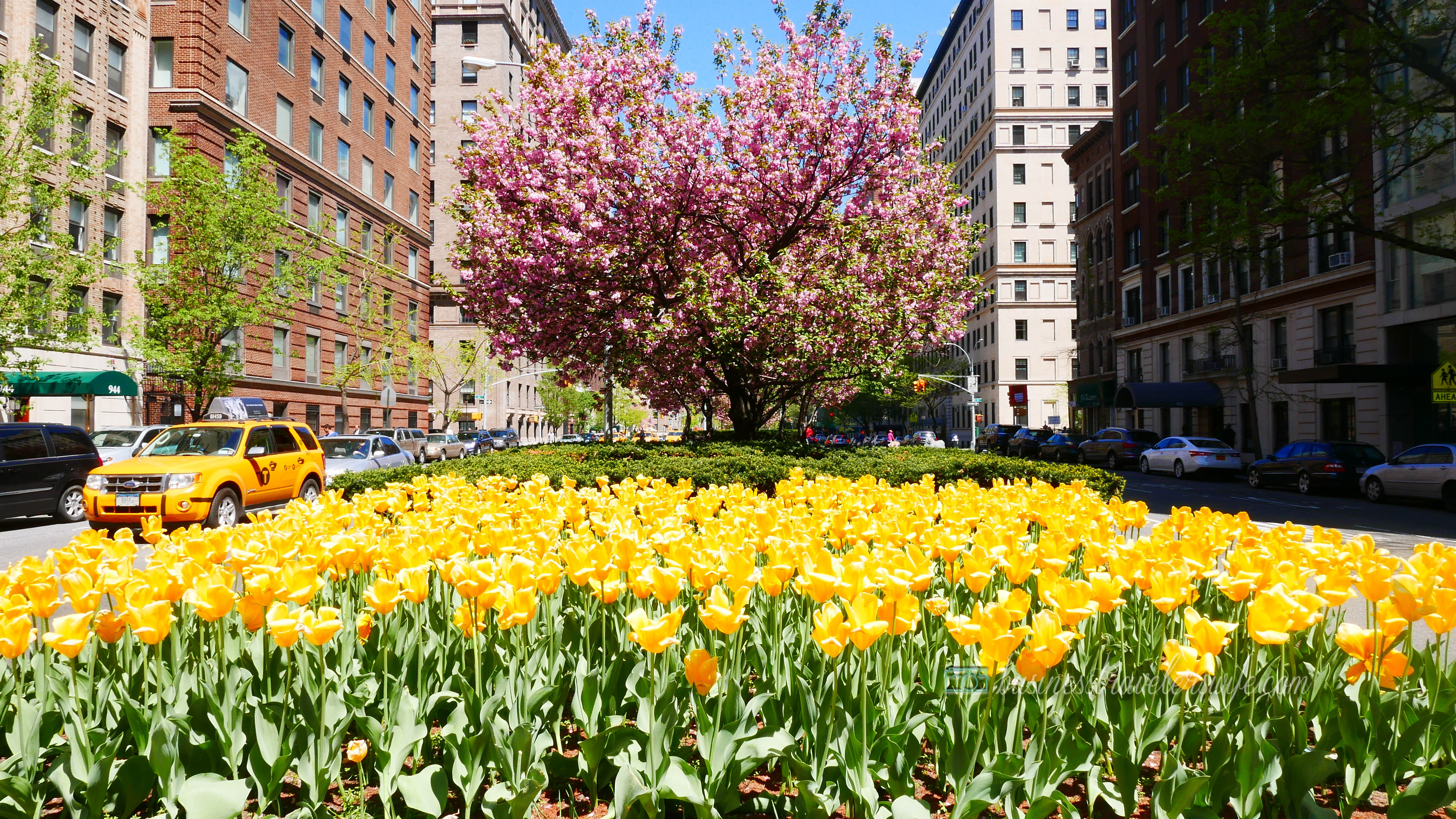 New York - Photography