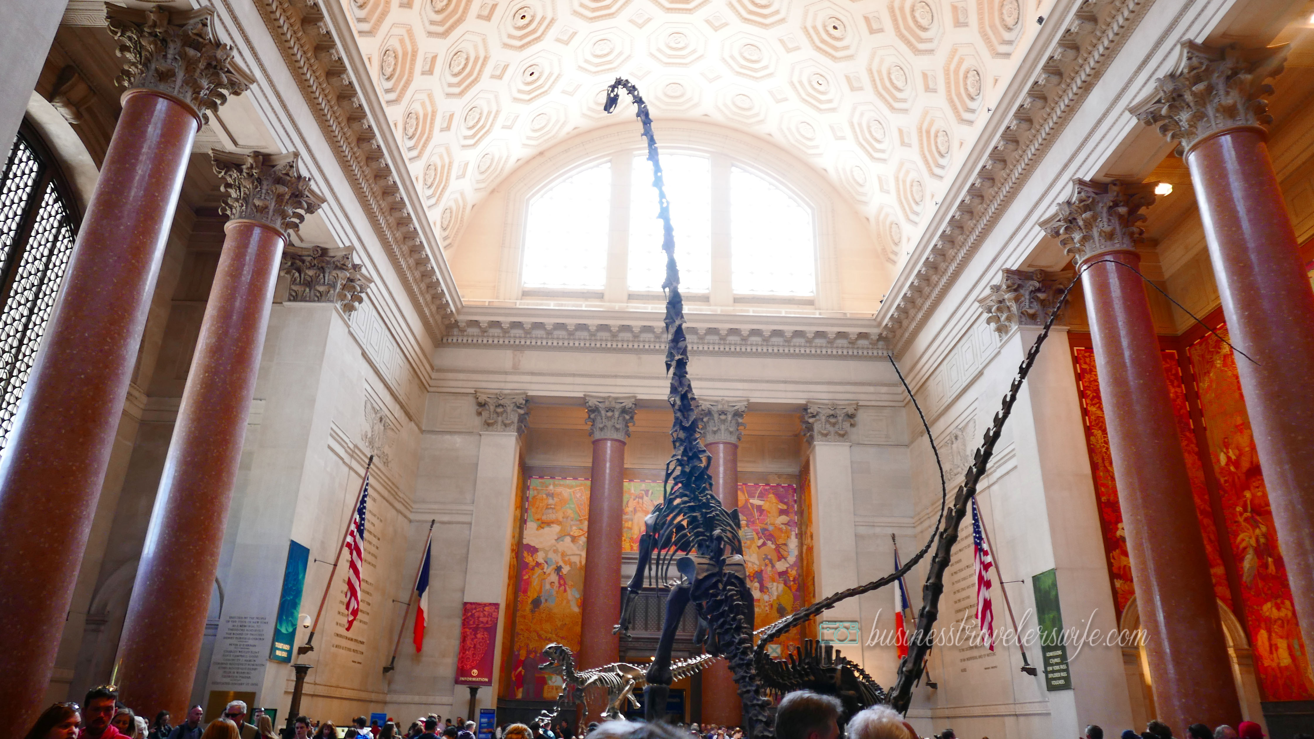 New York - Natural History Museum