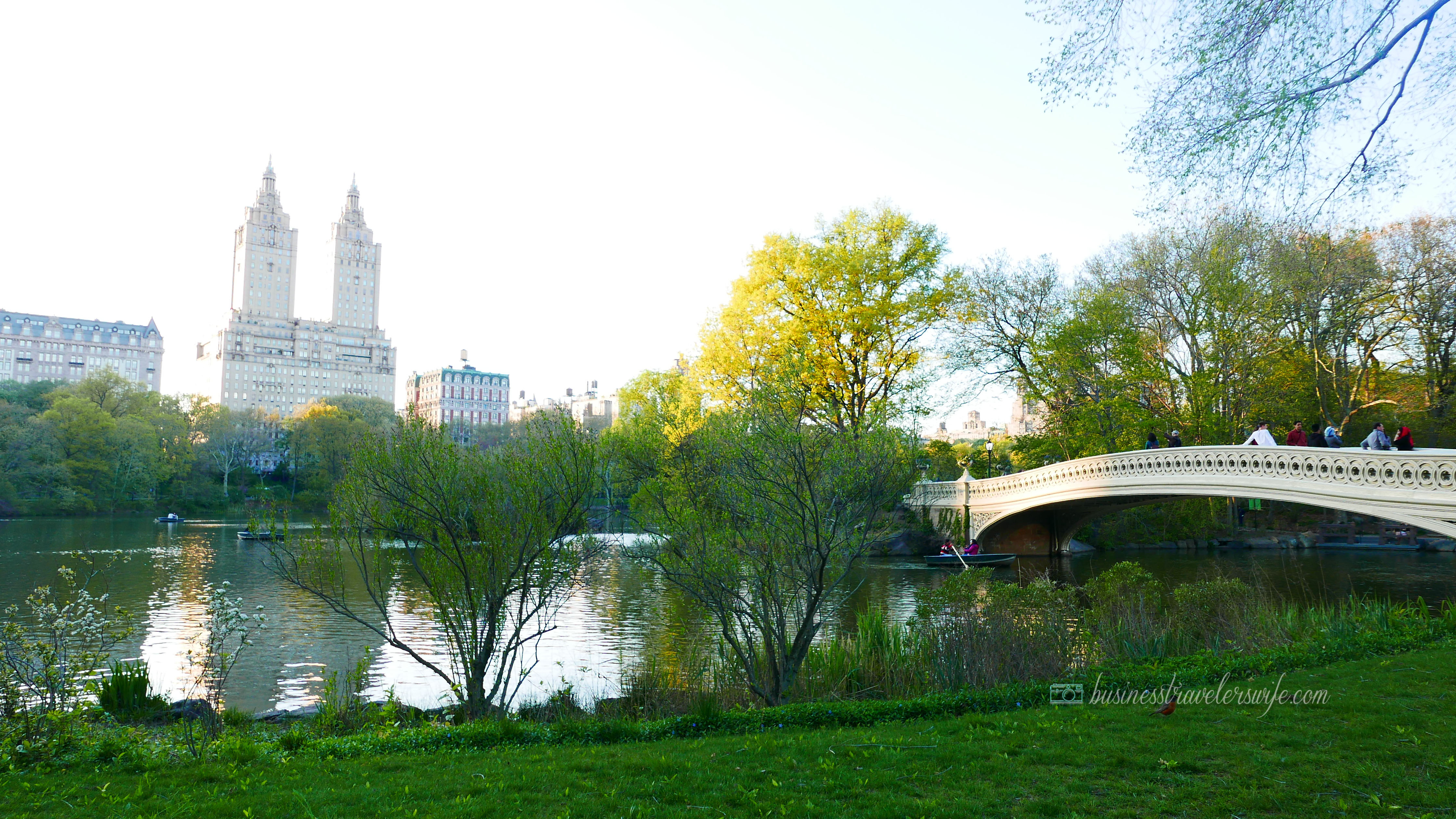 New York - Central Park
