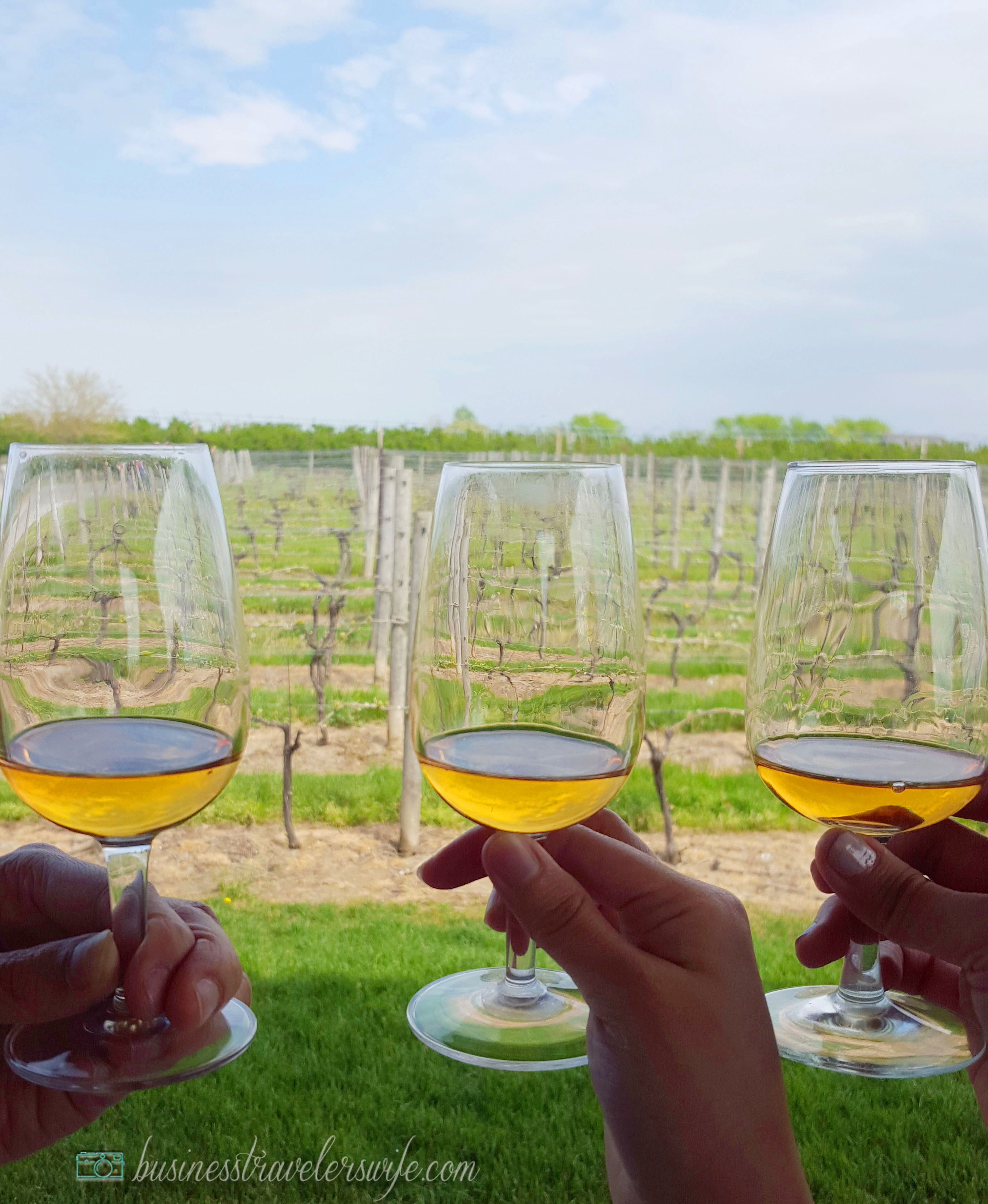 Appreciating Wine: Vineyard and Winery Tour at Niagara-on-the-Lake Trius Winery