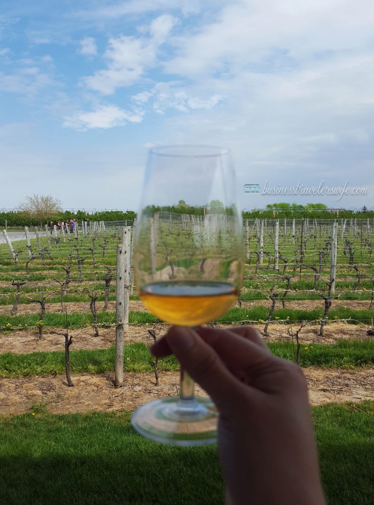 Winery Tour at Niagara-on-the-lake Trius Vidal Icewine