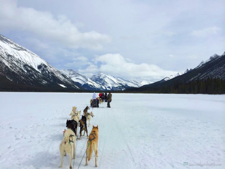 25 Items in My Bucket List Dogsledding Canmore Alberta Canada