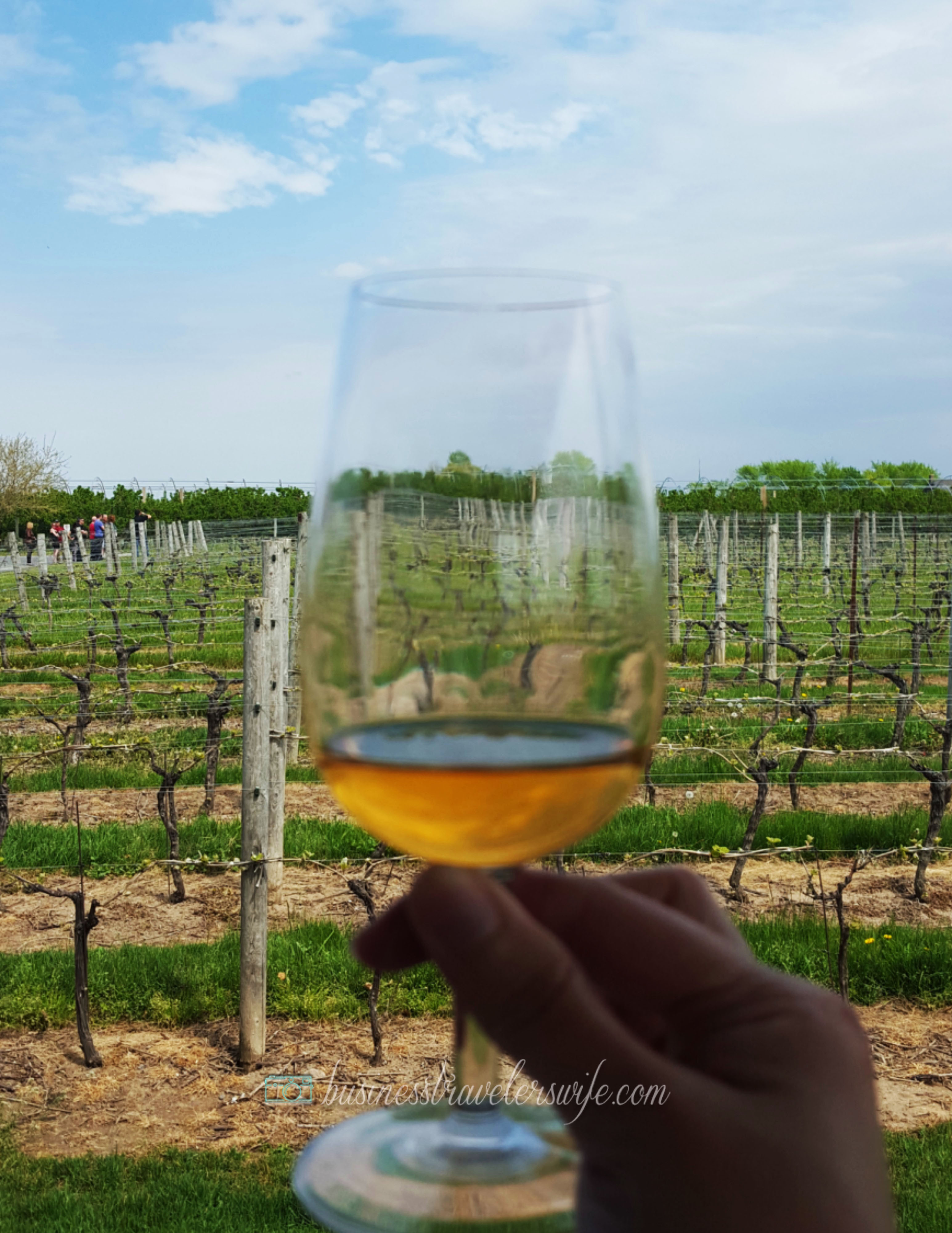 Appreciating Wine: Winery Tour at Niagara-on-the-Lake Trius Winery