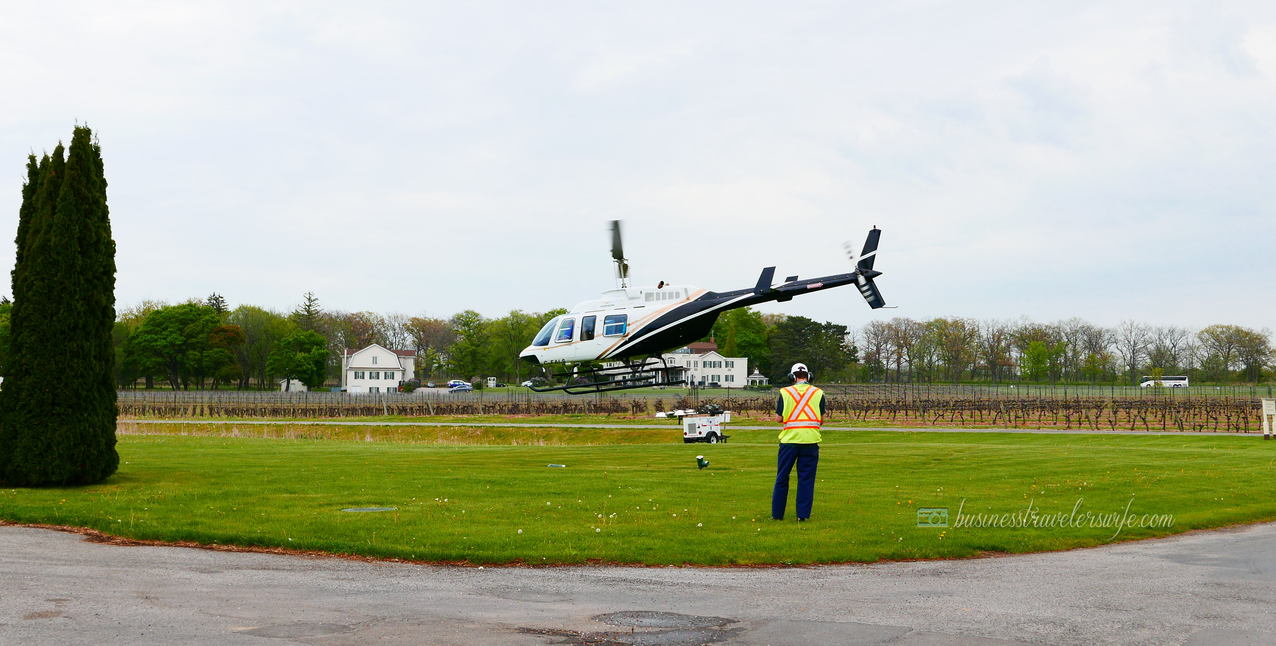 Appreciating Wine: Vineyard and Winery Tour at Niagara-on-the-Lake Peller Estates Winery Helicopter Tour