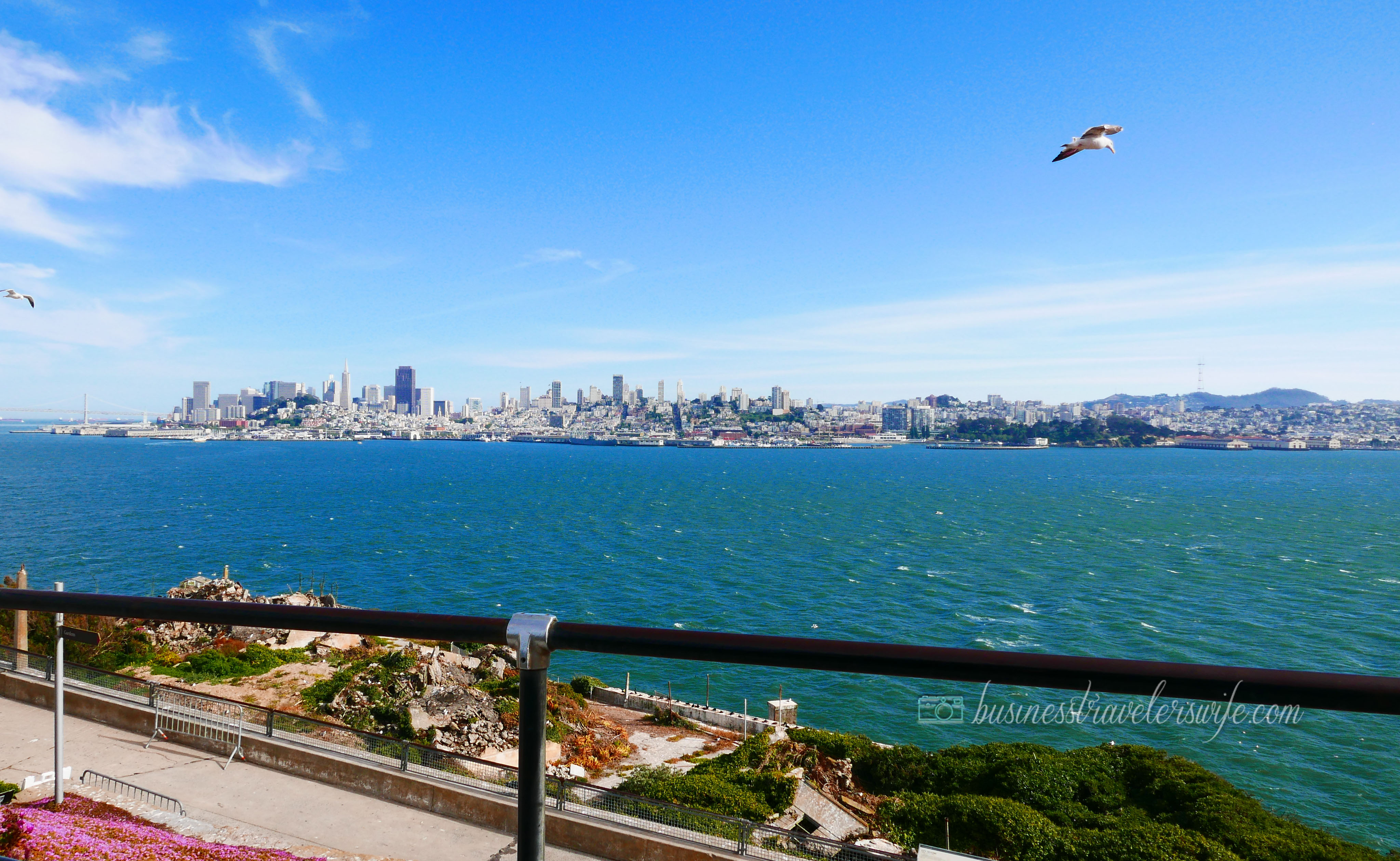 sights to see in san francisco bay alcatraz island beautiful views