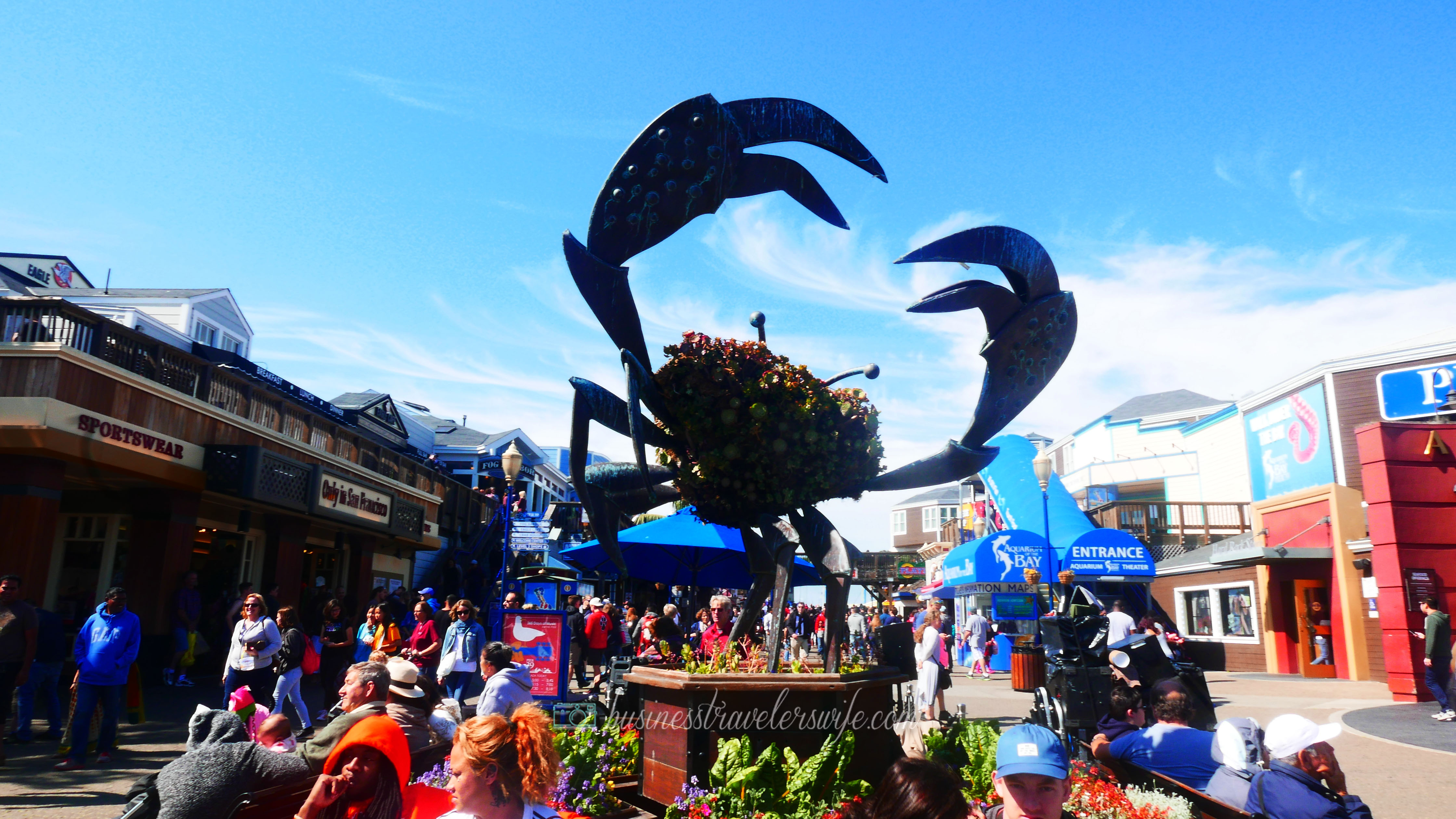 sights to see in san francisco Fisherman's Wharf Pier 39