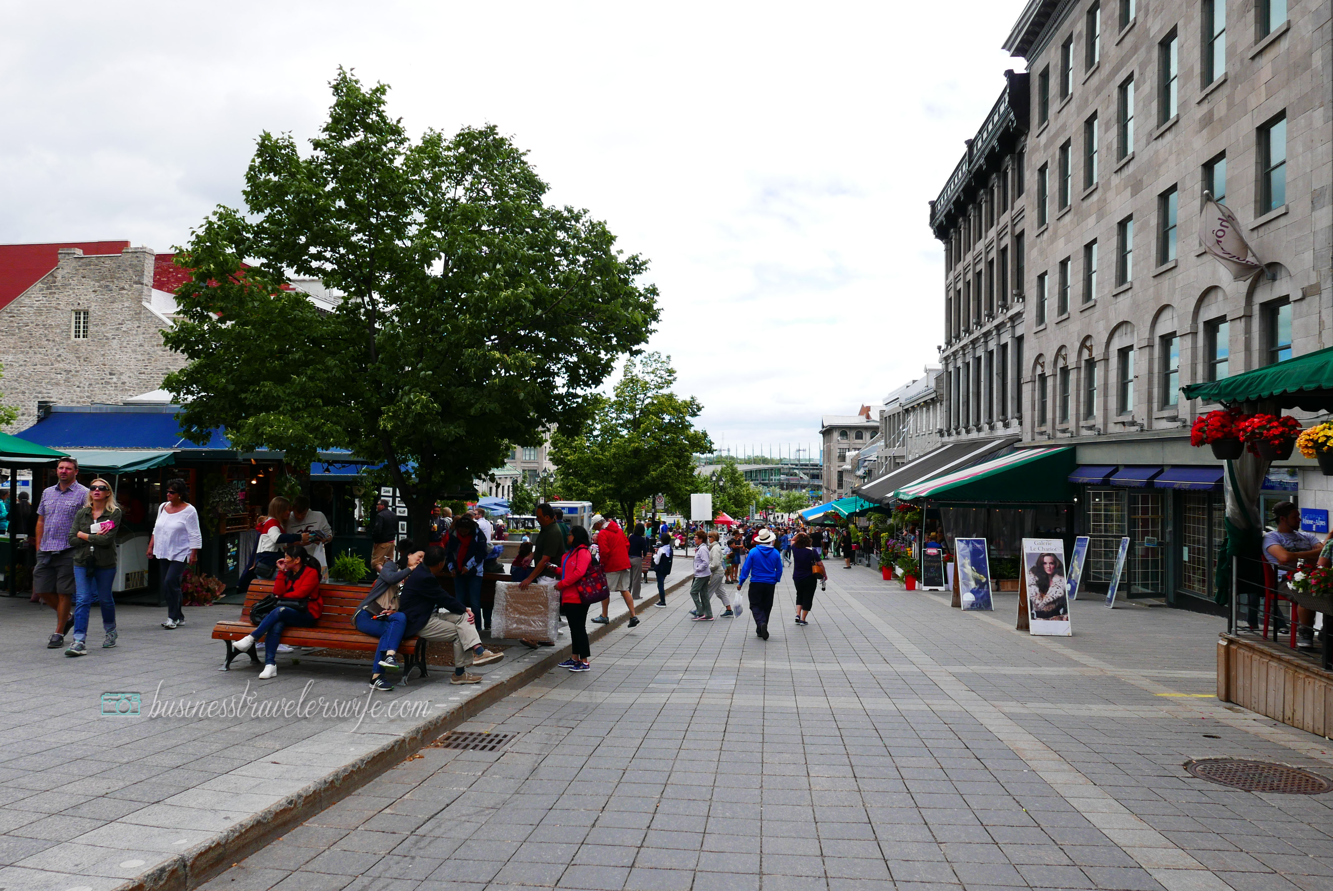 How Our Road Trip to Montreal Turned Into a Food Trip