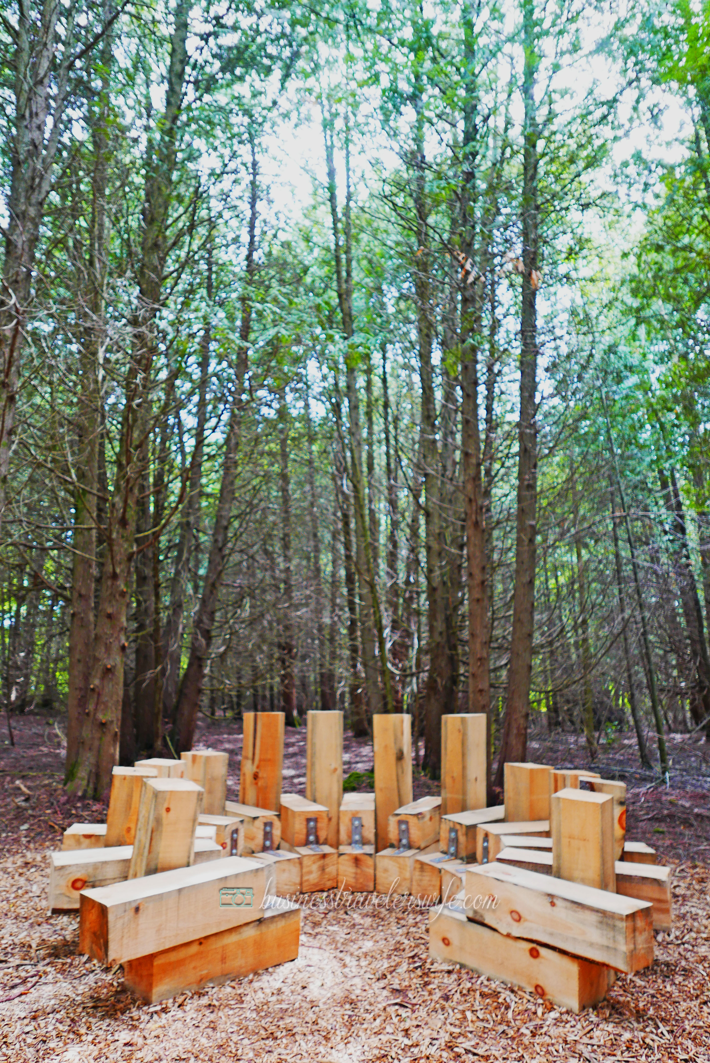 All Things Lovely at the Terre Bleu Lavender Farm Forest Trail