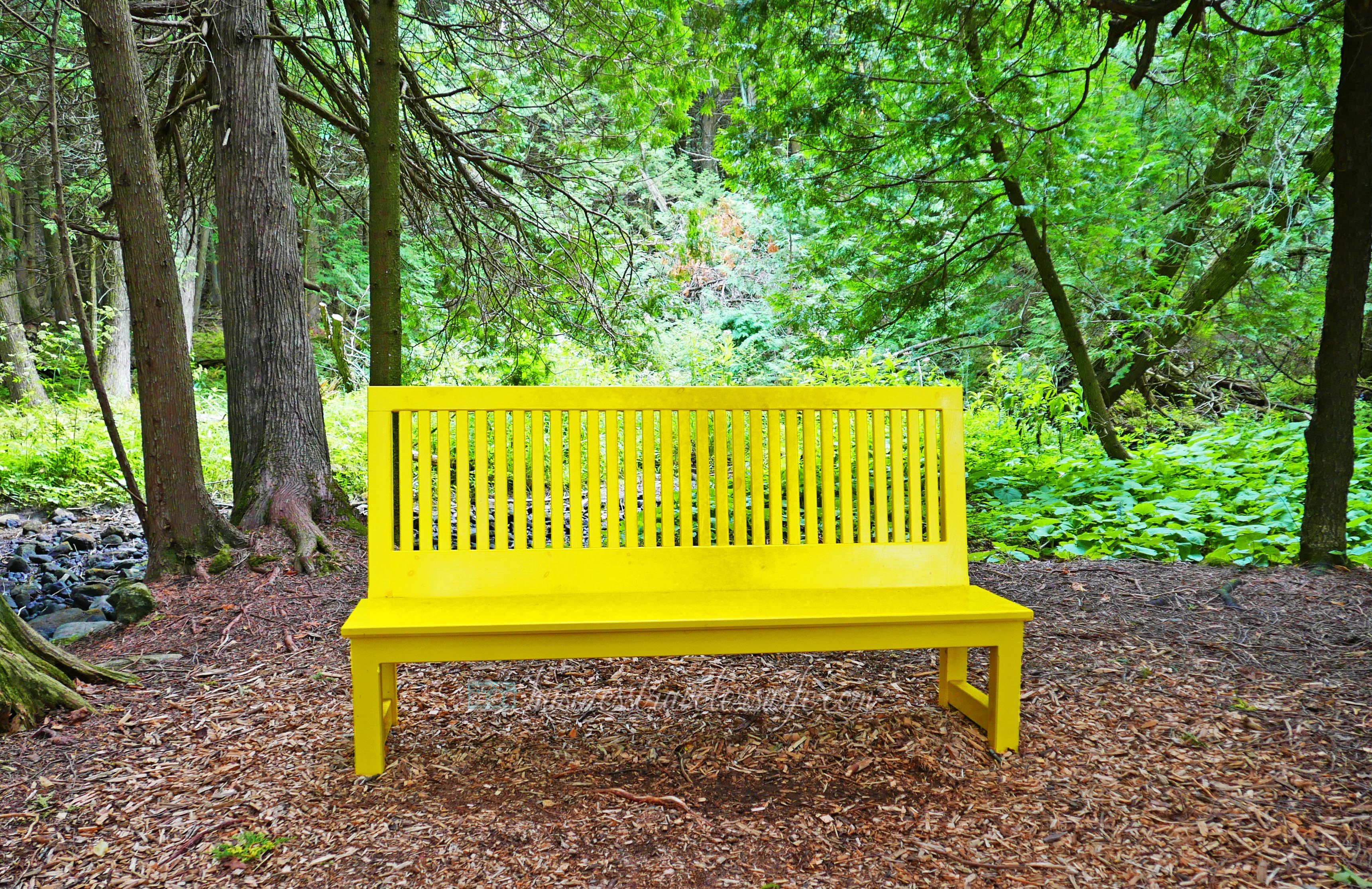 All Things Lovely at the Terre Bleu Lavender Farm Yellow Bench