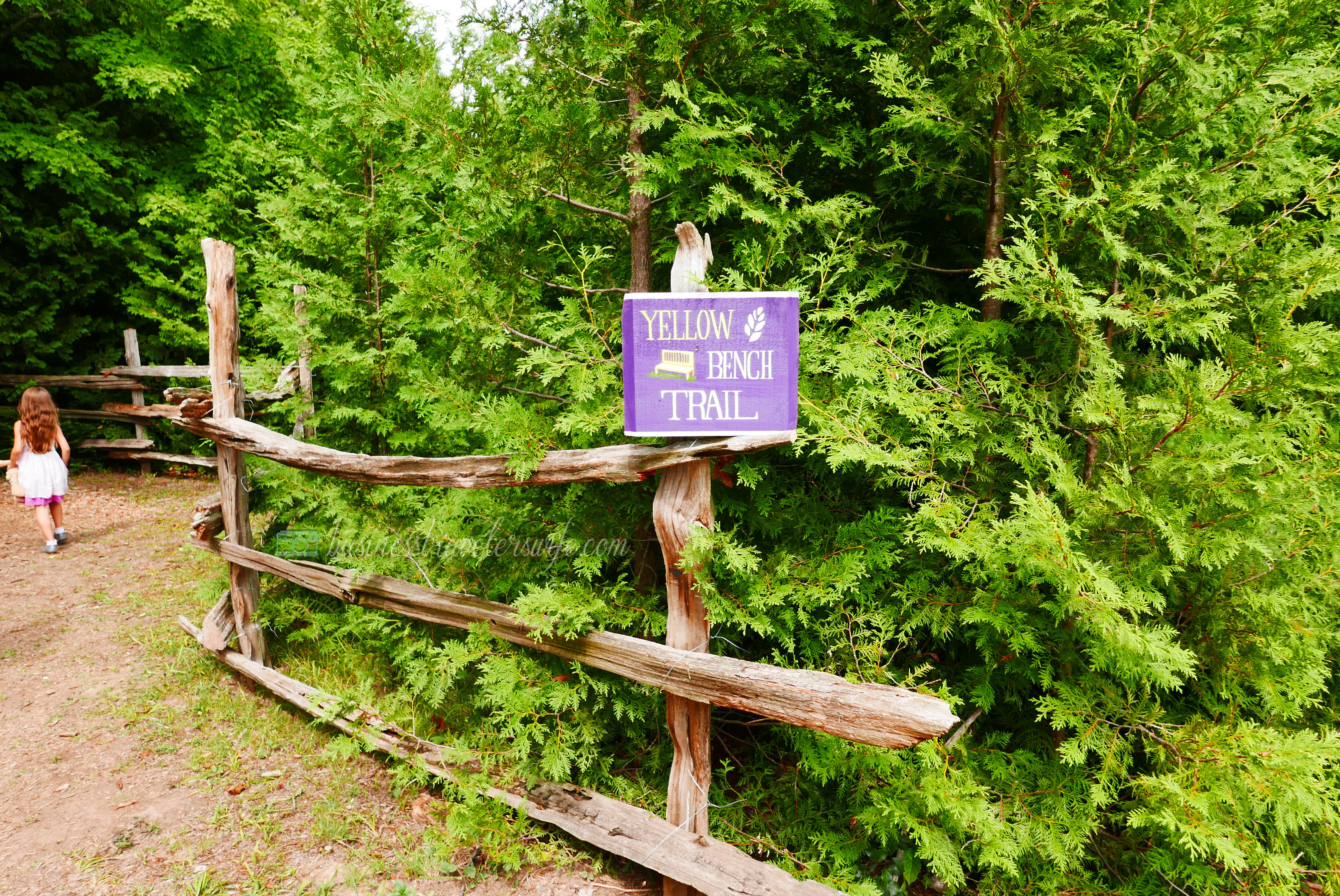 All Things Lovely at the Terre Bleu Lavender Farm Yellow Bench Trail