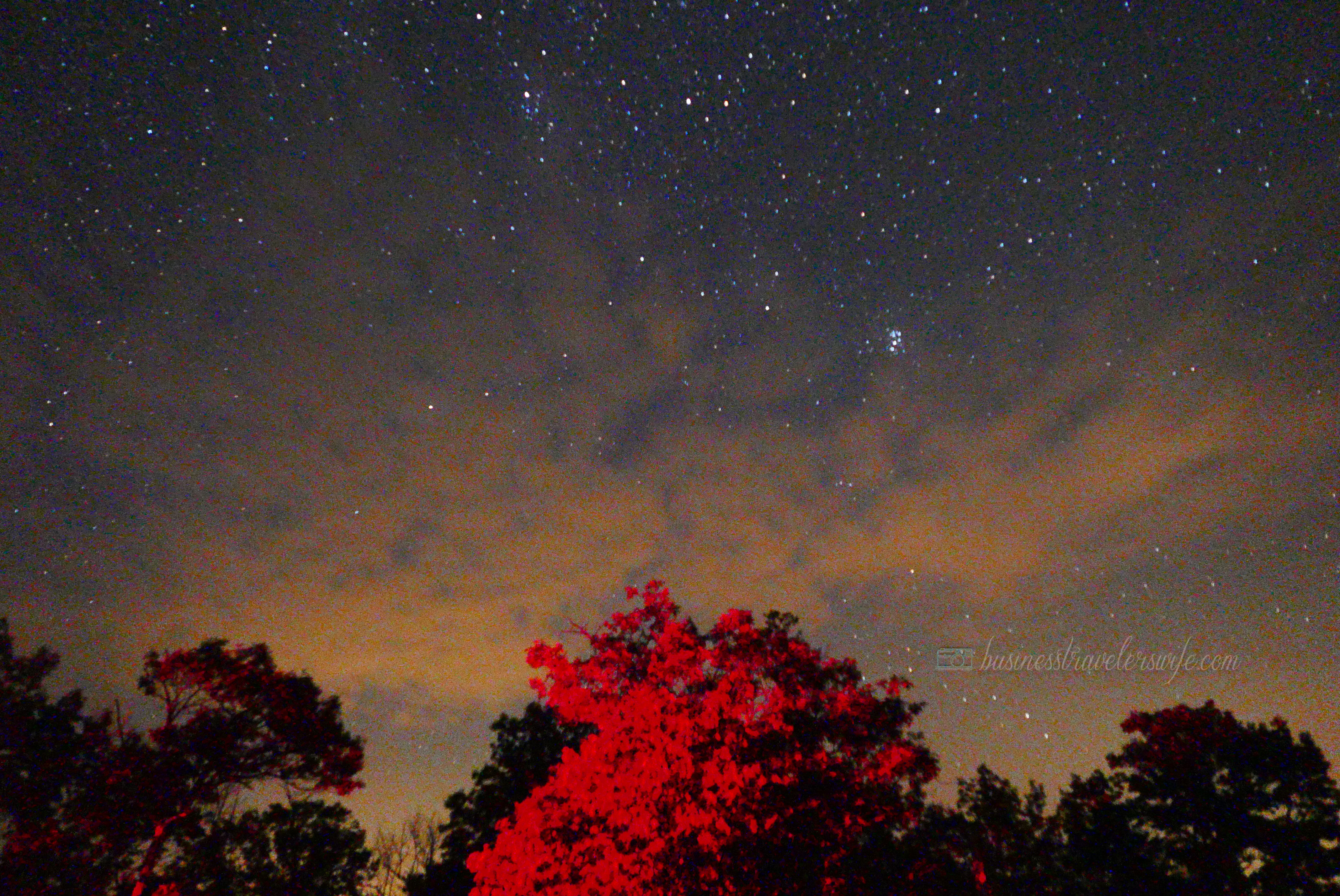 Crossing Off The Bucket List: Meteor Shower (Adventure and Tips) Torrance Barrens Dark-Sky Preserve Meteor Shower