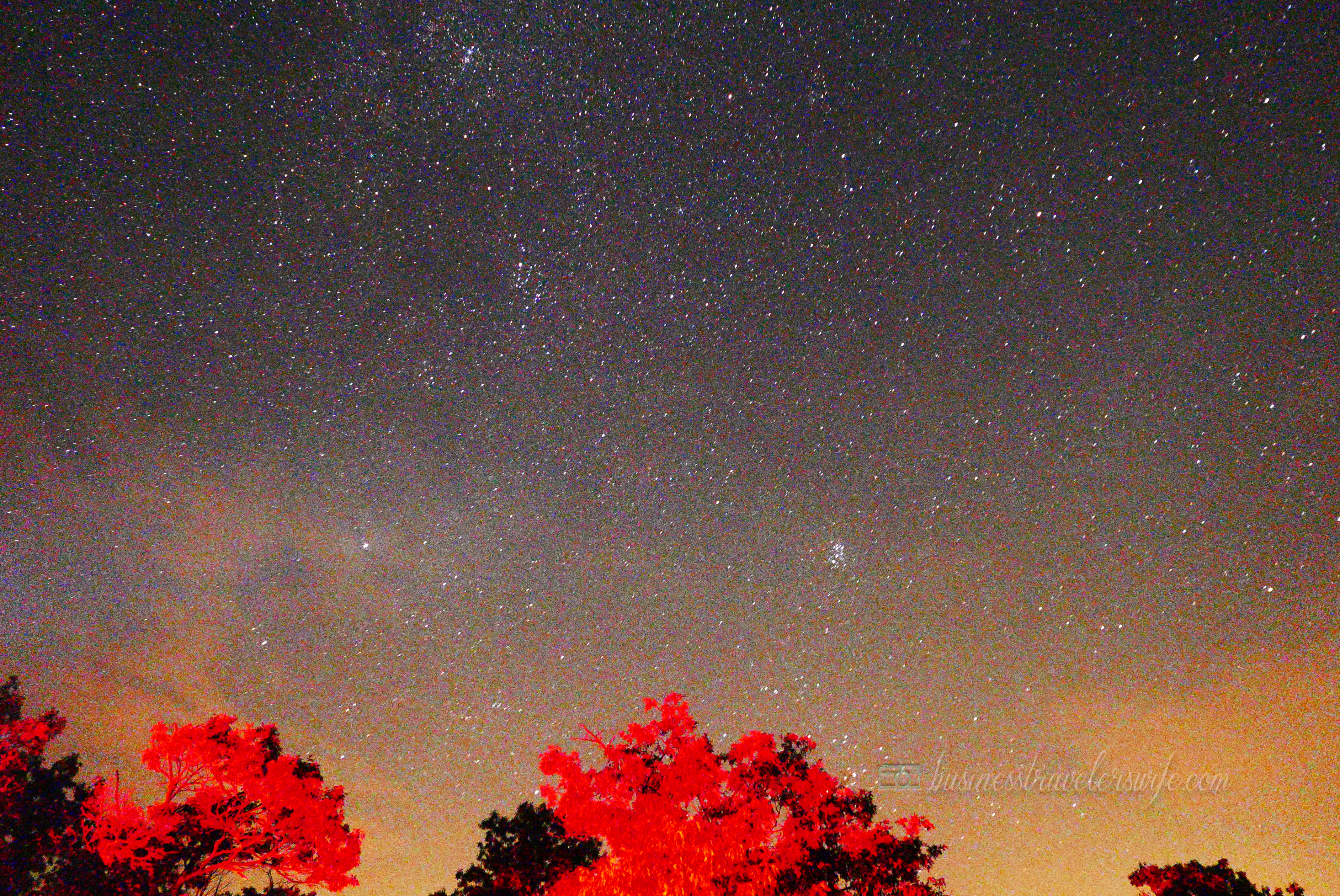 Crossing Off The Bucket List: Meteor Shower (Adventure and Tips) Torrance Barrens Dark-Sky Preserve Meteor Shower
