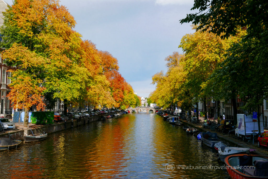10 Things to Do in Amsterdam - Canal Cruise Fall