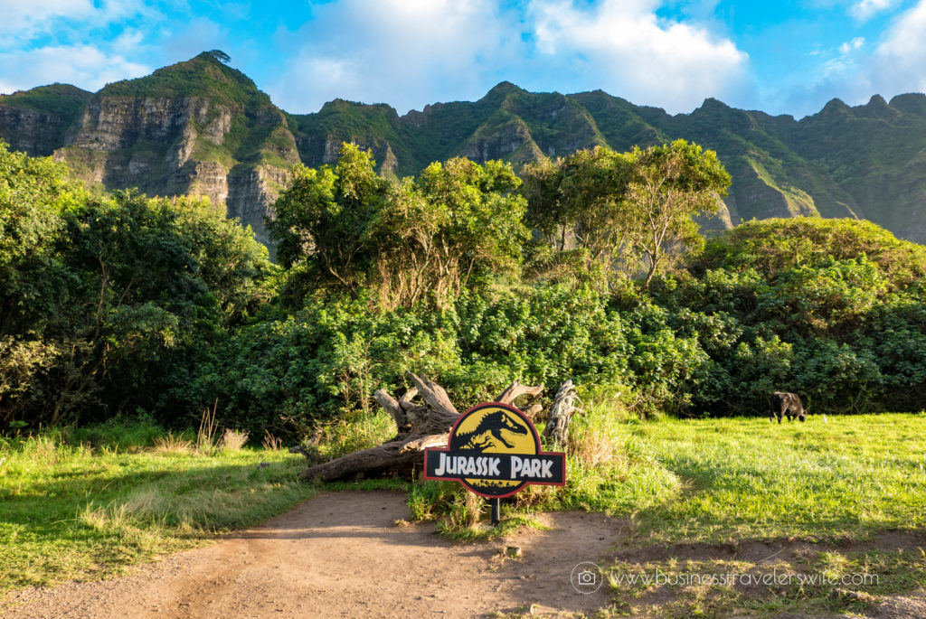 ATV Tour in Kualoa Ranch Oahu Jurassic Park Fallen Tree