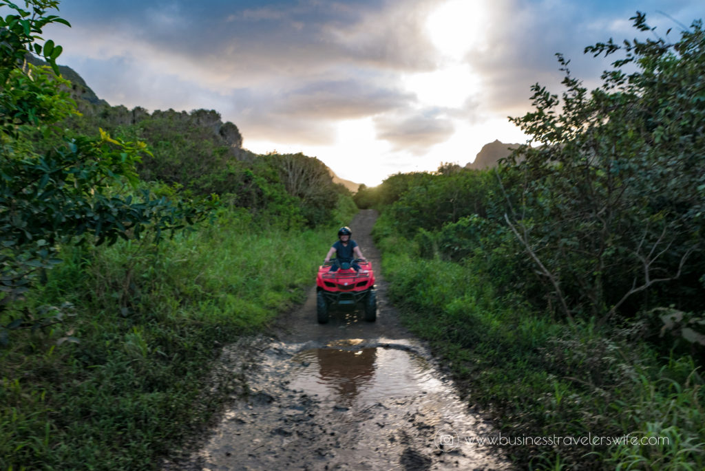 ATV Tour in Kualoa Ranch Oahu Muddy Terrain (1 of 1)