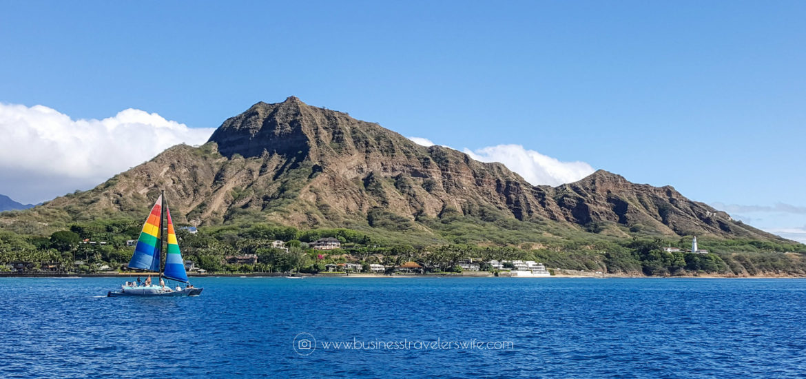Snorkeling with Hawaiian Green Sea Turtles and Sailing in Honolulu Turtle Canyon Adventure Sail with Holokai Catamaran in Oahu Hawaii