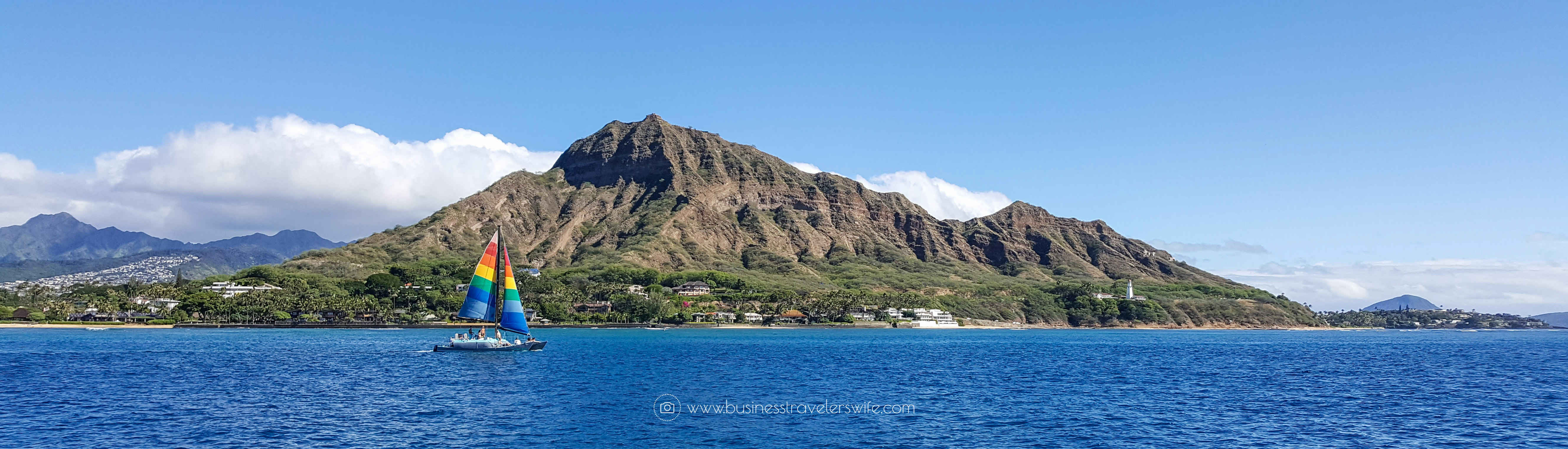 Snorkeling with Hawaiian Green Sea Turtles and Sailing in Honolulu Turtle Canyon Adventure Sail with Holokai Catamaran in Oahu Hawaii