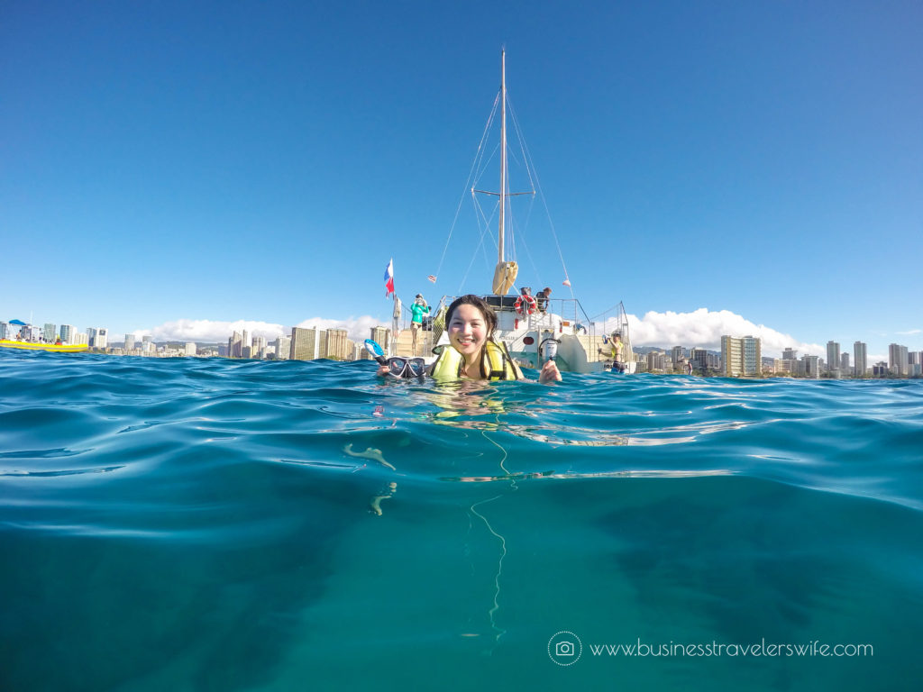 Snorkeling with Hawaiian Green Sea Turtles and Sailing in Honolulu Turtle Canyon Adventure Sail with Holokai Catamaran in Oahu Hawaii