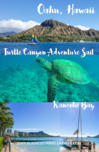 Snorkeling with Hawaiian Green Sea Turtles and Sailing in Honolulu Turtle Canyon Adventure Sail with Holokai Catamaran in Oahu Hawaii