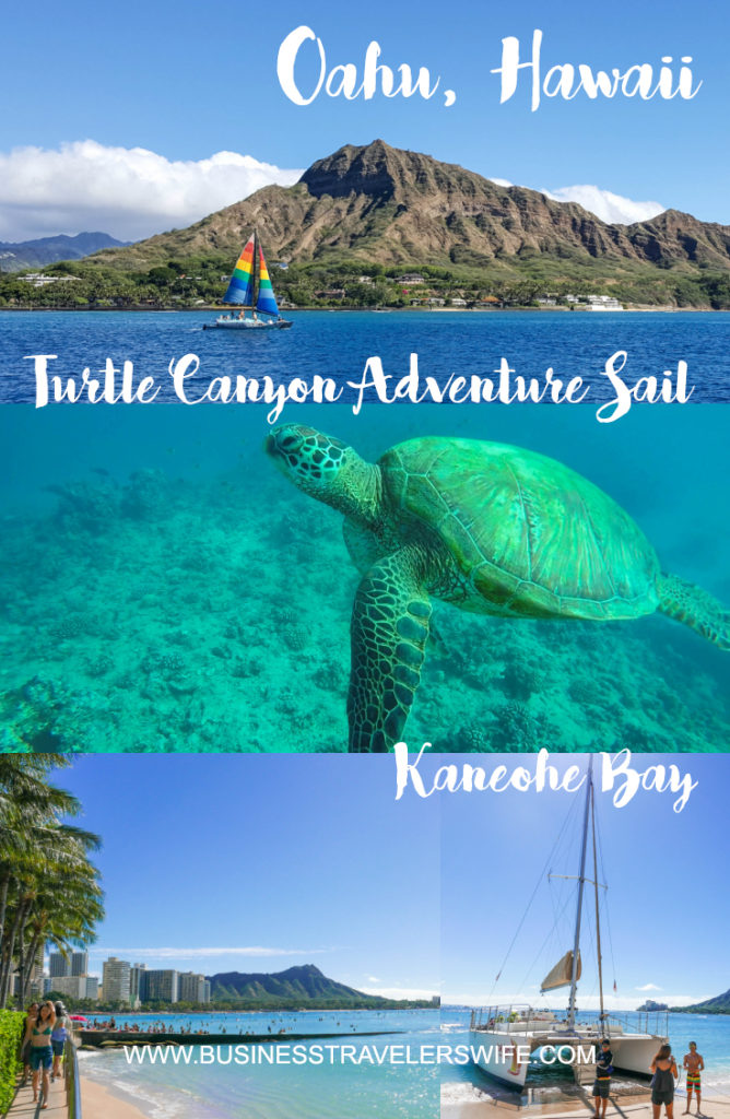 Snorkeling with Hawaiian Green Sea Turtles and Sailing in Honolulu Turtle Canyon Adventure Sail with Holokai Catamaran in Oahu Hawaii