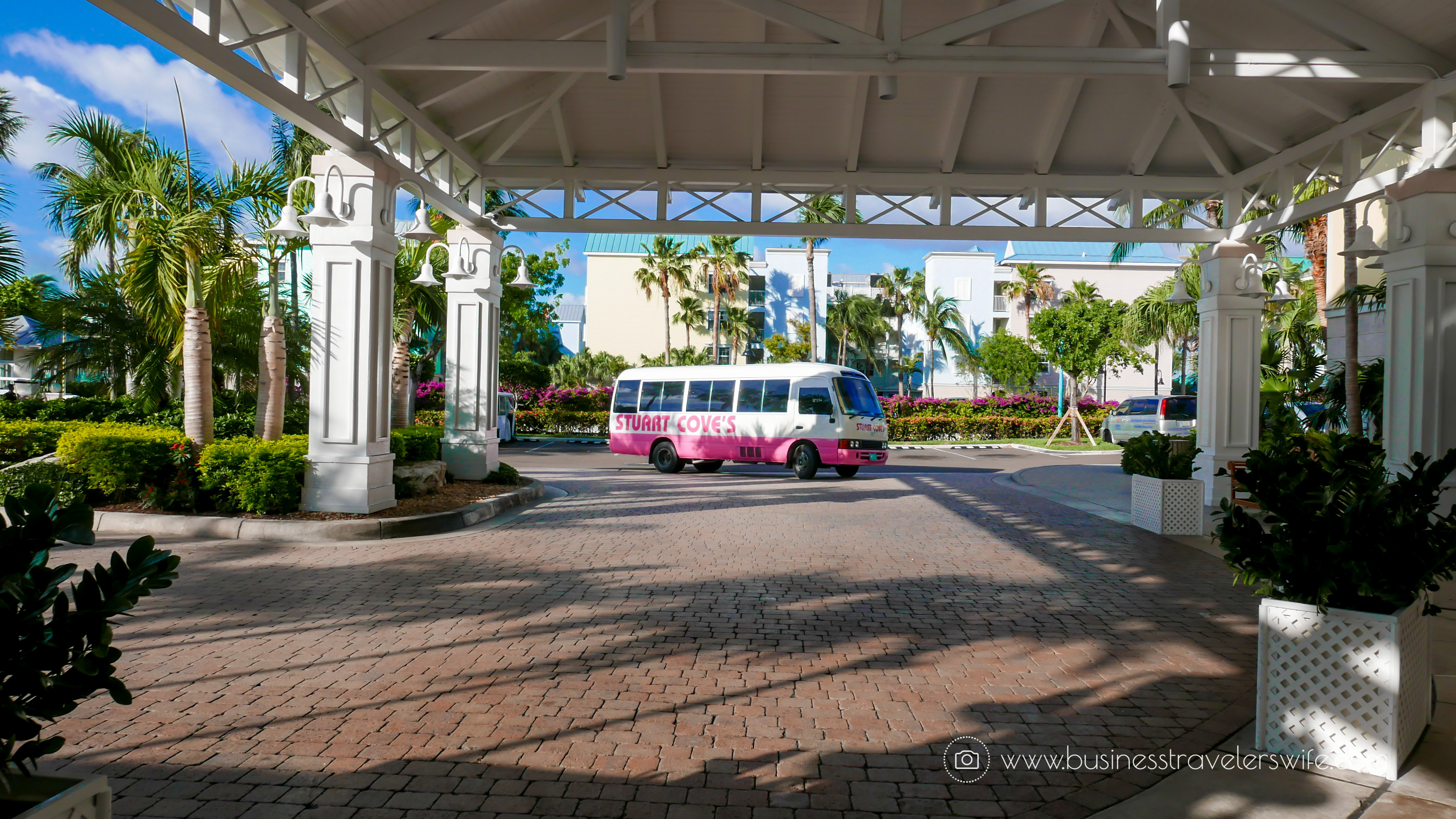 Amazing Snorkeling Tour with Stuart Cove’s Dive Bahamas Complimentary Transfer