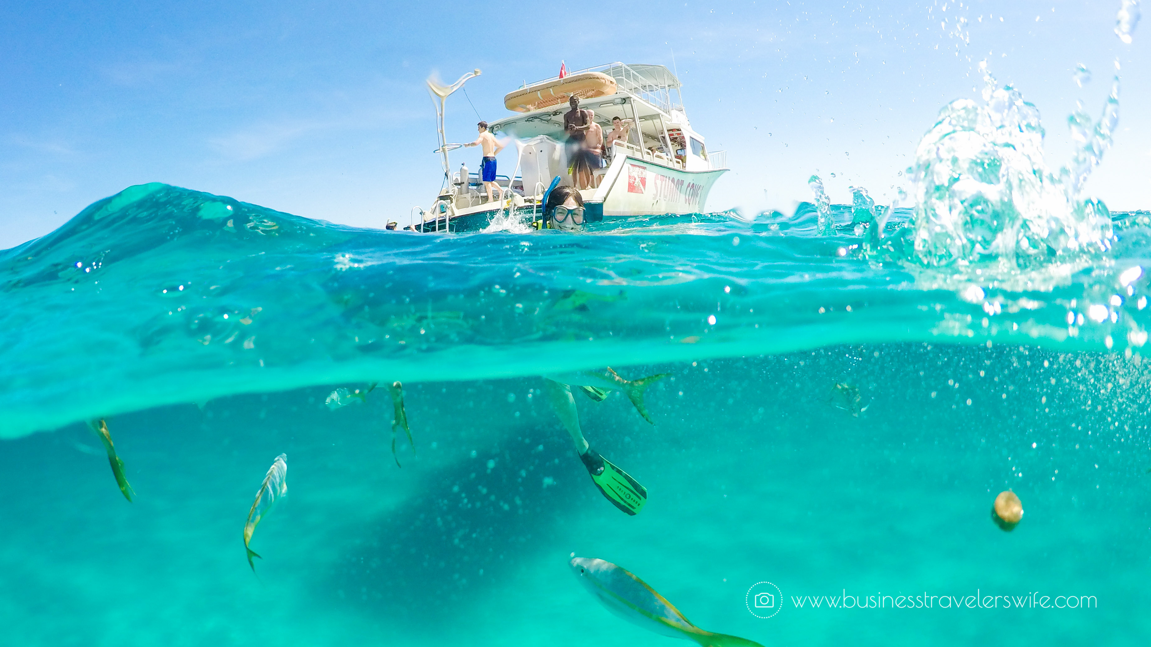 Amazing Snorkeling Tour with Stuart Cove’s Dive Bahamas Hollywood Bowl Tropical Fish