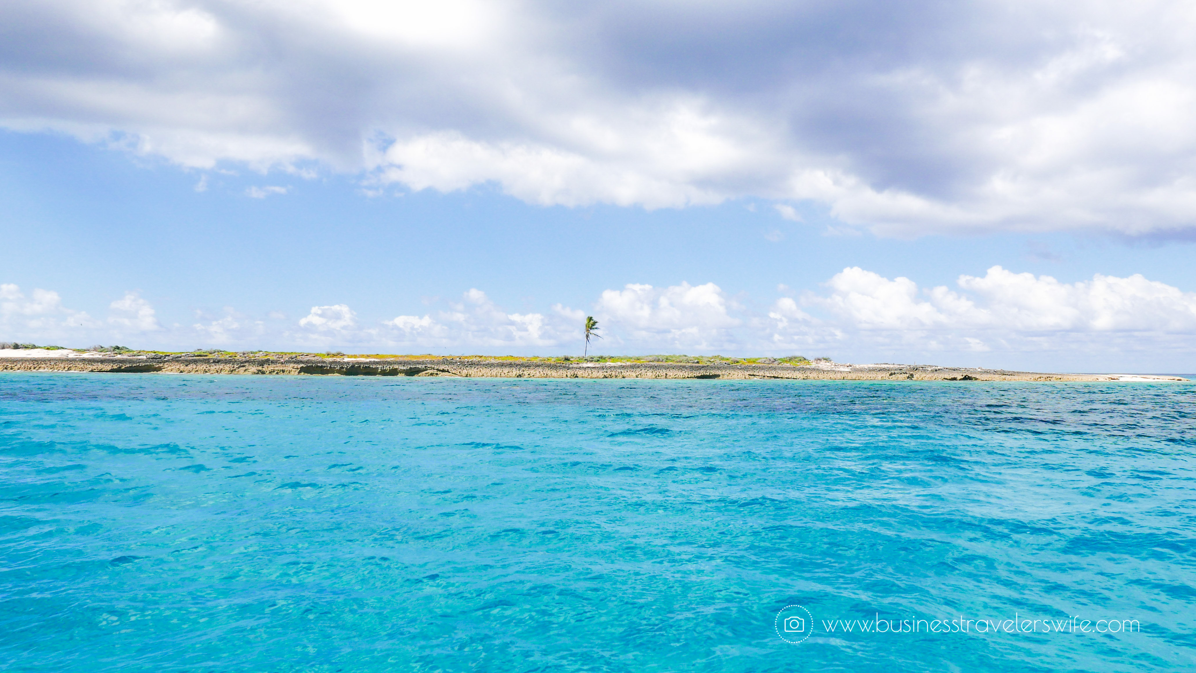 Amazing Snorkeling Tour with Stuart Cove’s Dive Bahamas Hollywood Bowl Pirates of the Caribbean Dead Man's Chest
