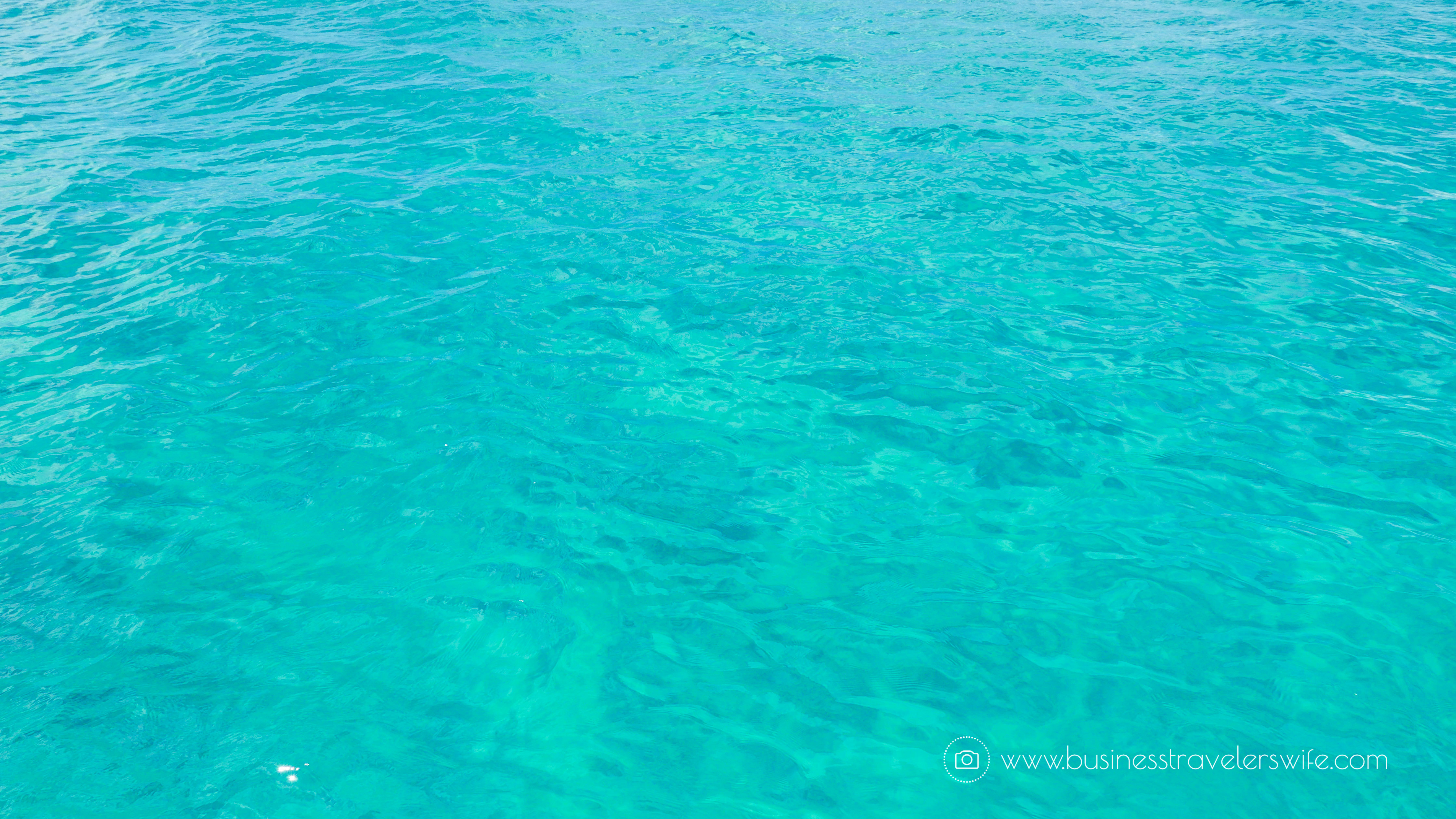 Amazing Snorkeling Tour with Stuart Cove’s Dive Bahamas Water