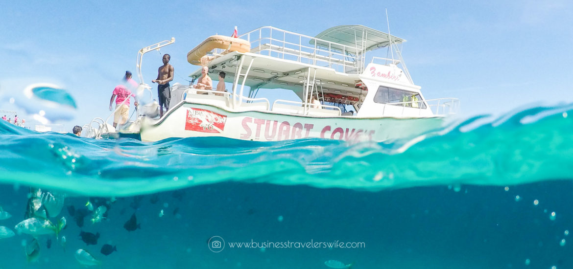 An Unforgettable Snorkeling Tour with Stuart Cove’s in Bahamas Hollywood Bowl Fish Boat