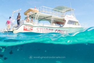 An Unforgettable Snorkeling Tour with Stuart Cove’s in Bahamas Hollywood Bowl Fish Boat
