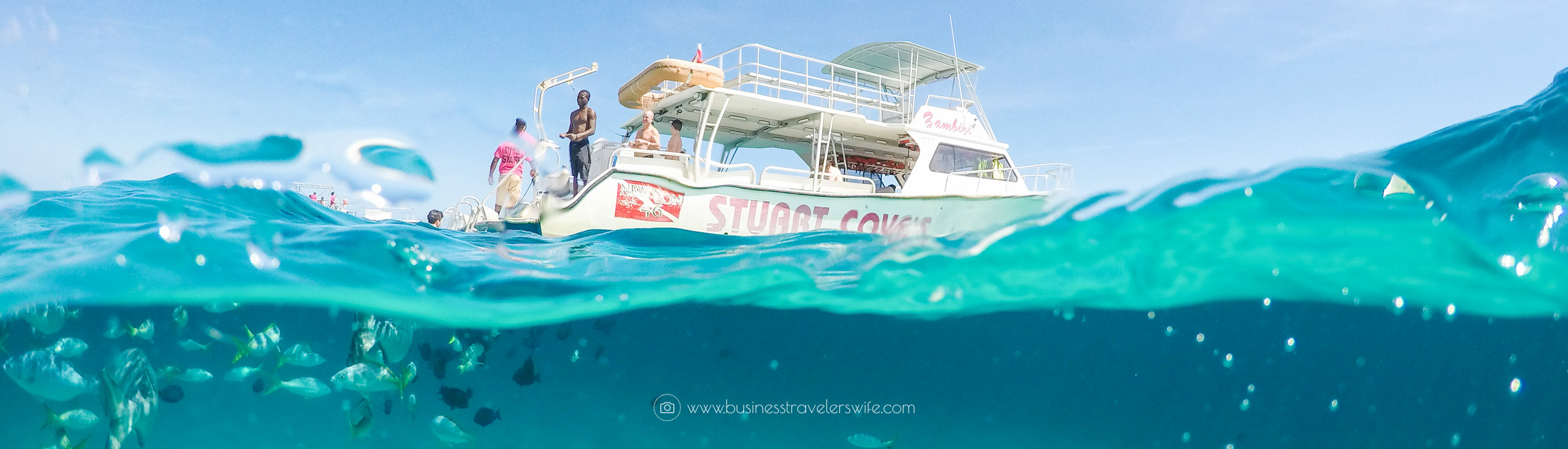 An Unforgettable Snorkeling Tour with Stuart Cove’s in Bahamas Hollywood Bowl Fish Boat