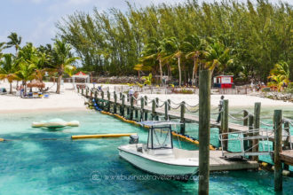 Featured Image VIP Beach Day and Dolphin Encounter on Blue Lagoon Island