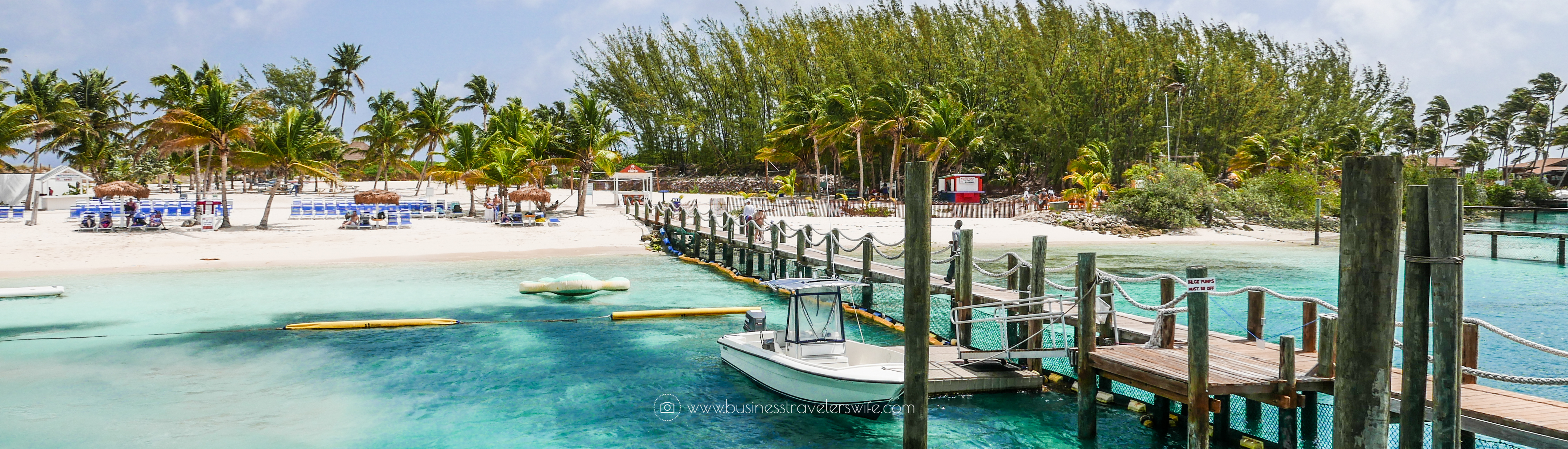 Featured Image VIP Beach Day and Dolphin Encounter on Blue Lagoon Island