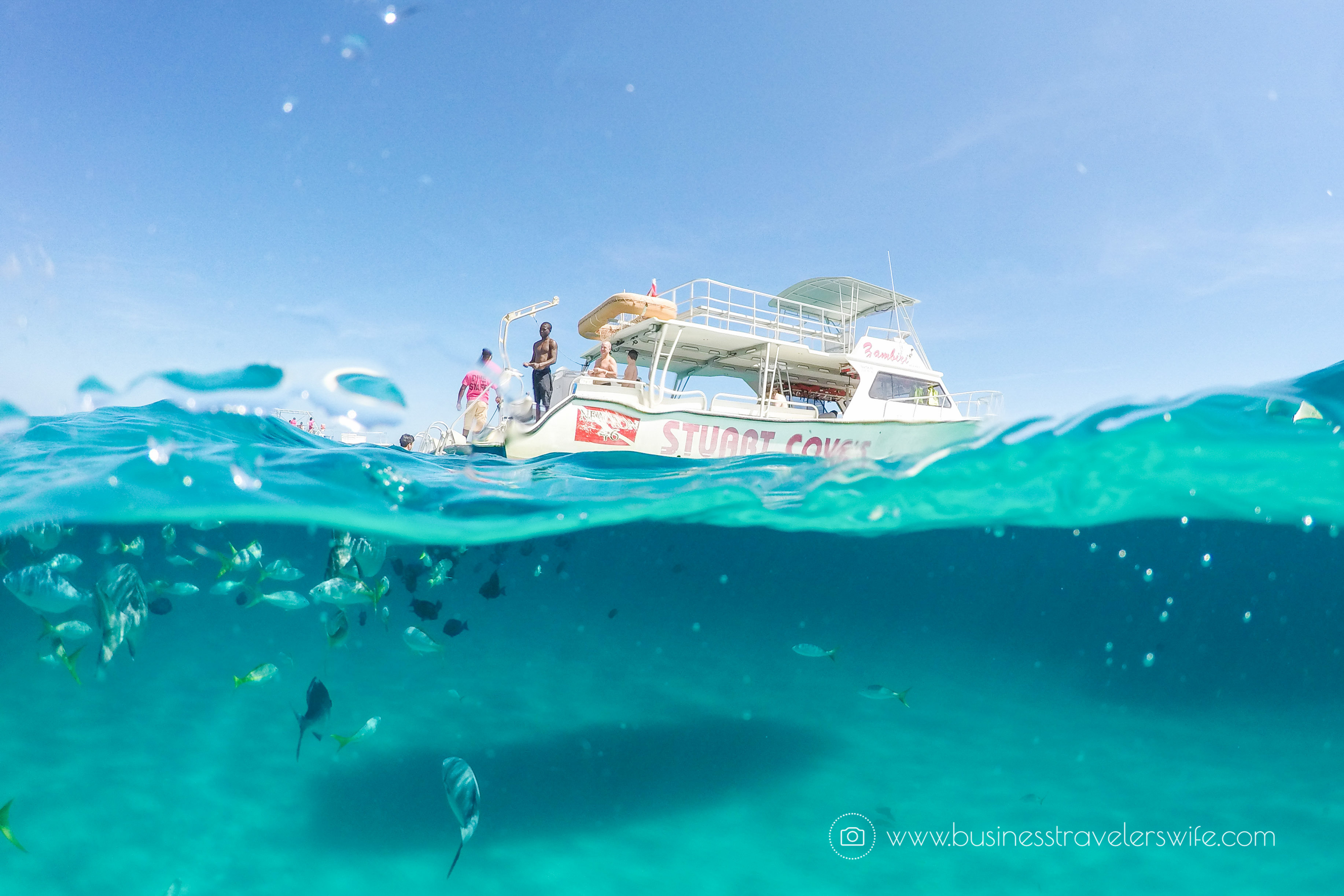 Amazing Snorkeling Tour with Stuart Cove’s Dive Bahamas Hollywood Bowl Tropical Fish Boat