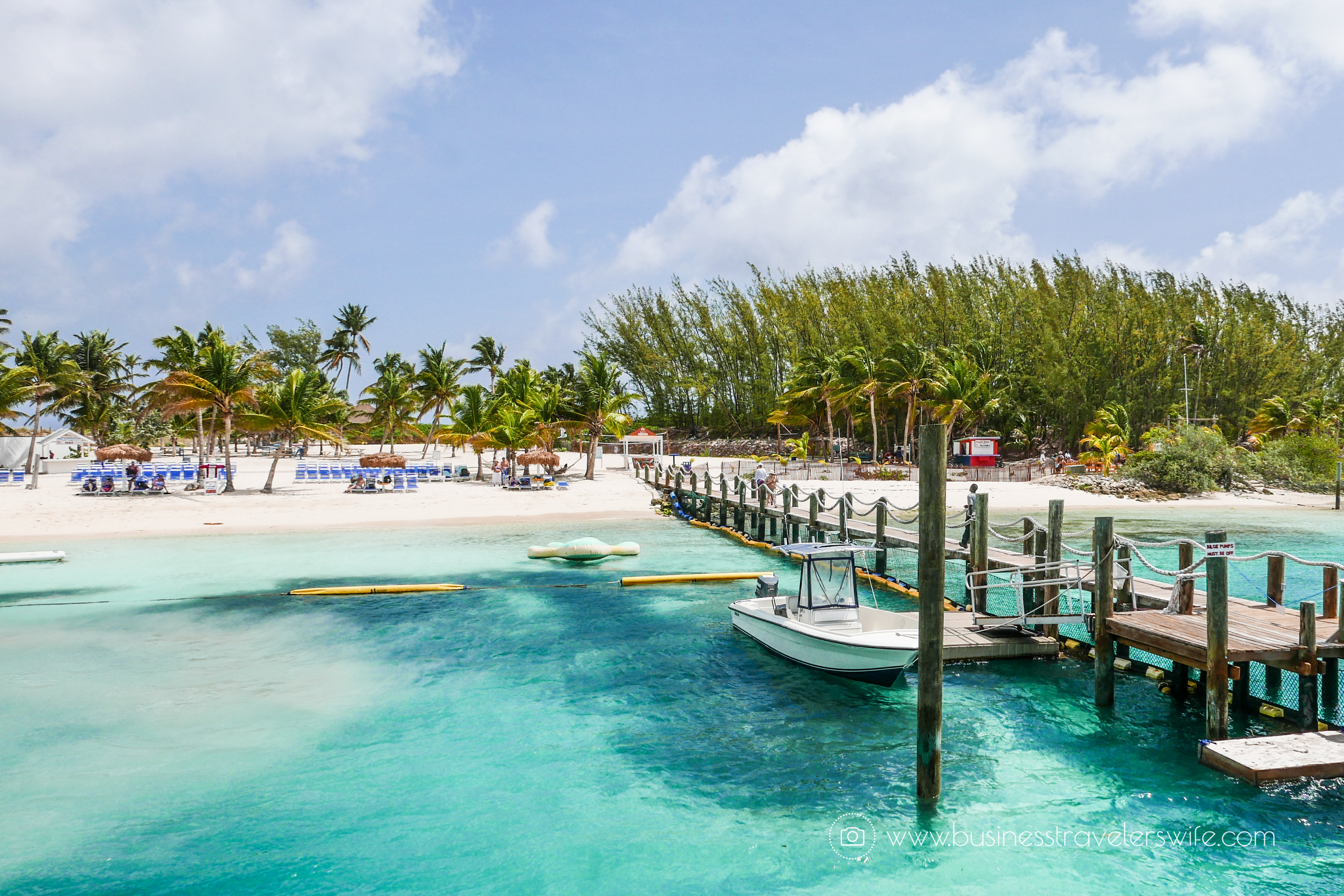 VIP Beach Day and Dolphin Encounter on Blue Lagoon Island, Bahamas