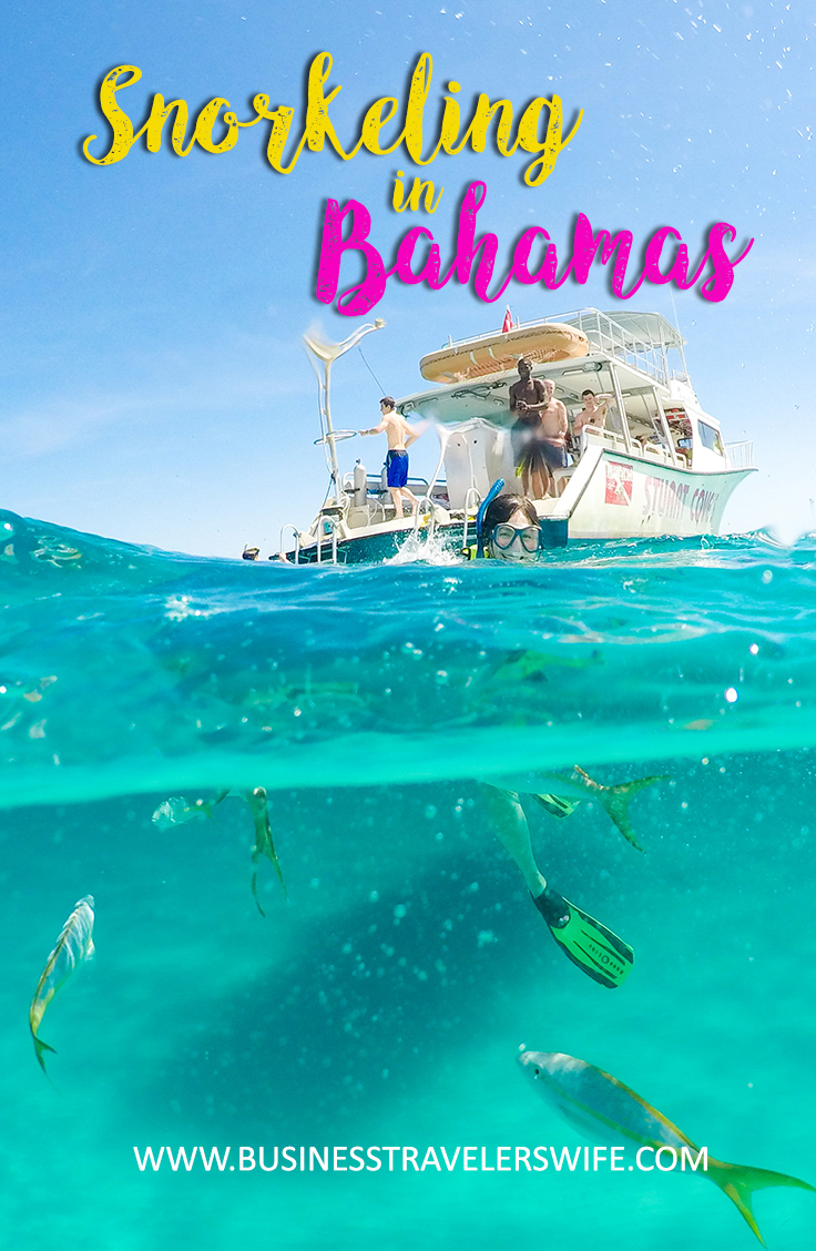 Amazing Snorkeling Tour with Stuart Cove’s Dive Bahamas Boat Hollywood Bowl