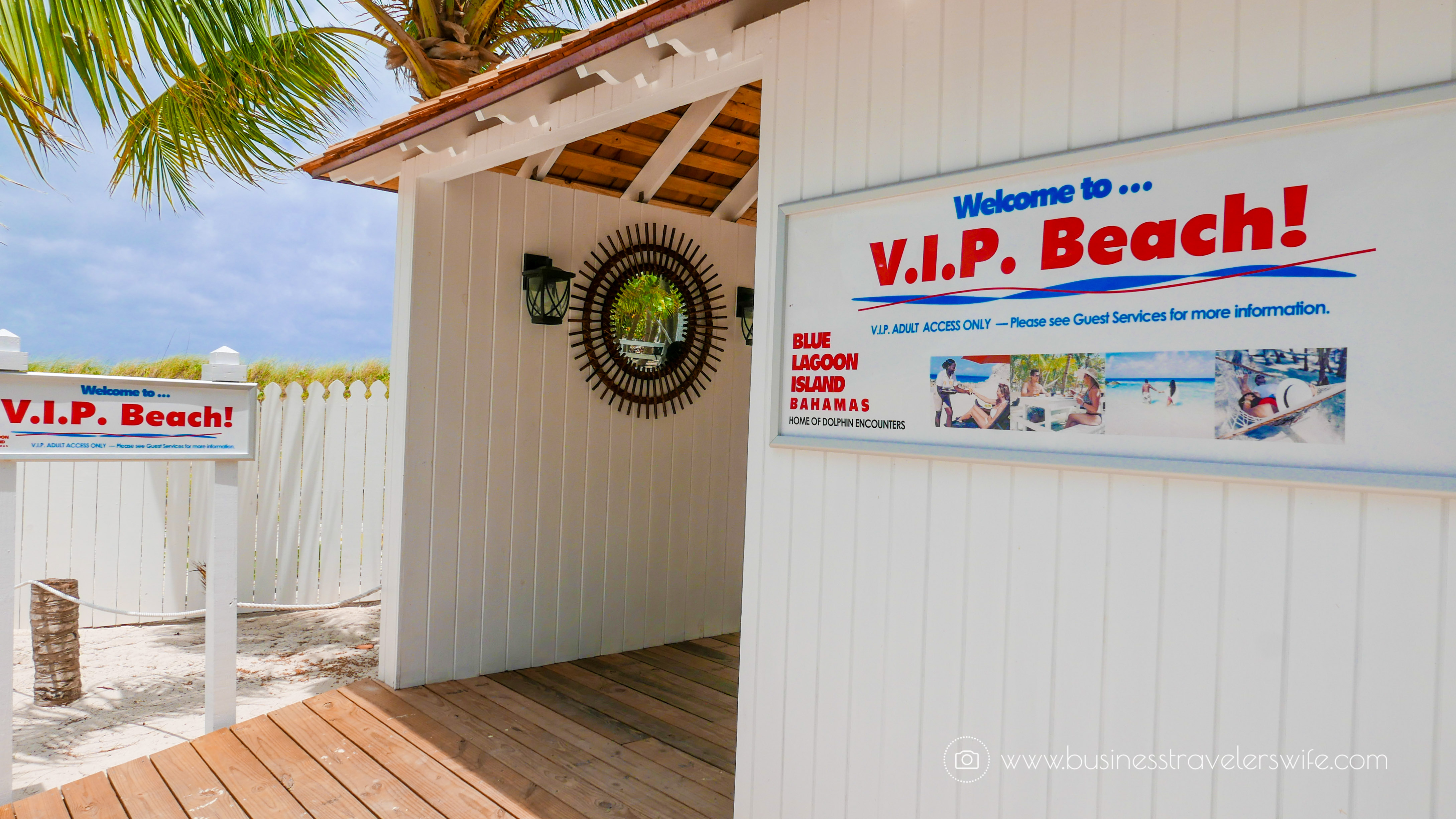 VIP Beach Day and Dolphin Encounter on Blue Lagoon Island, Bahamas