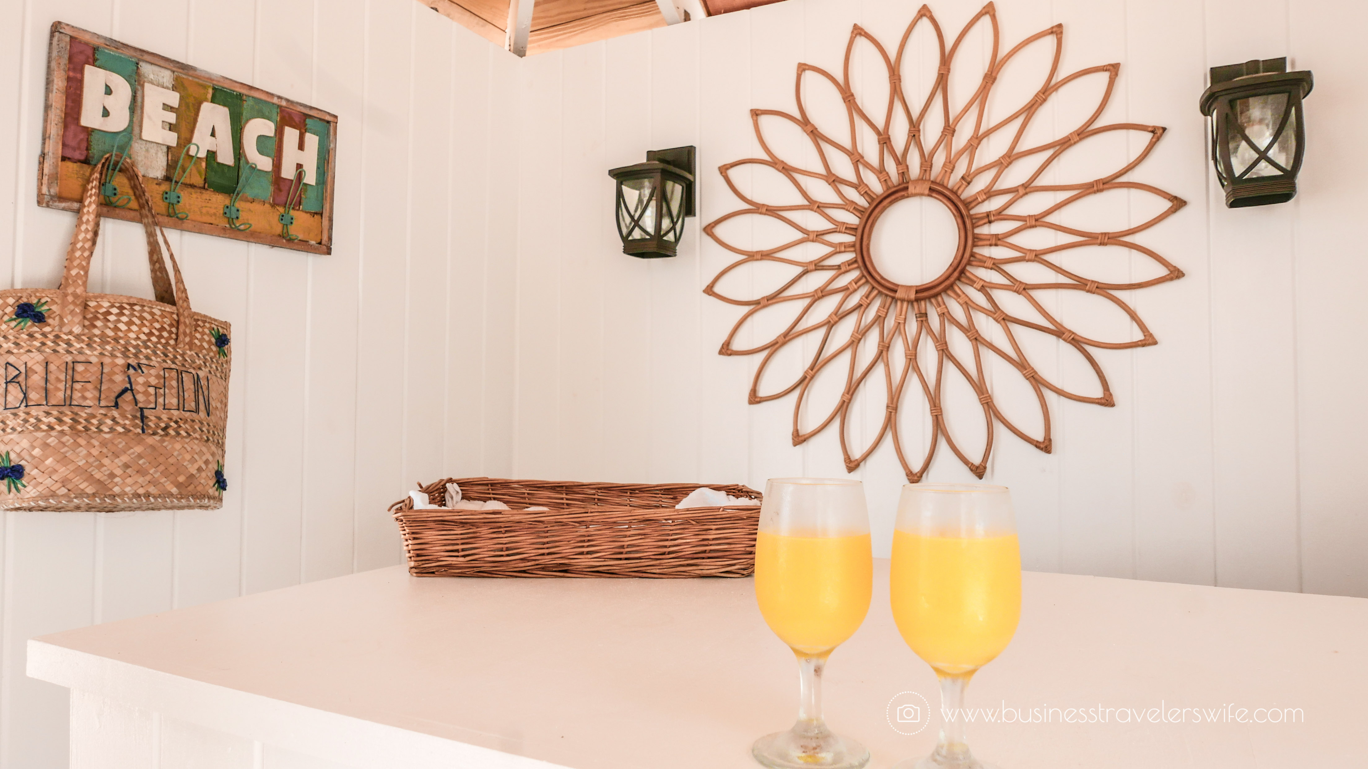 VIP Beach Day and Dolphin Encounter on Blue Lagoon Island, Bahamas