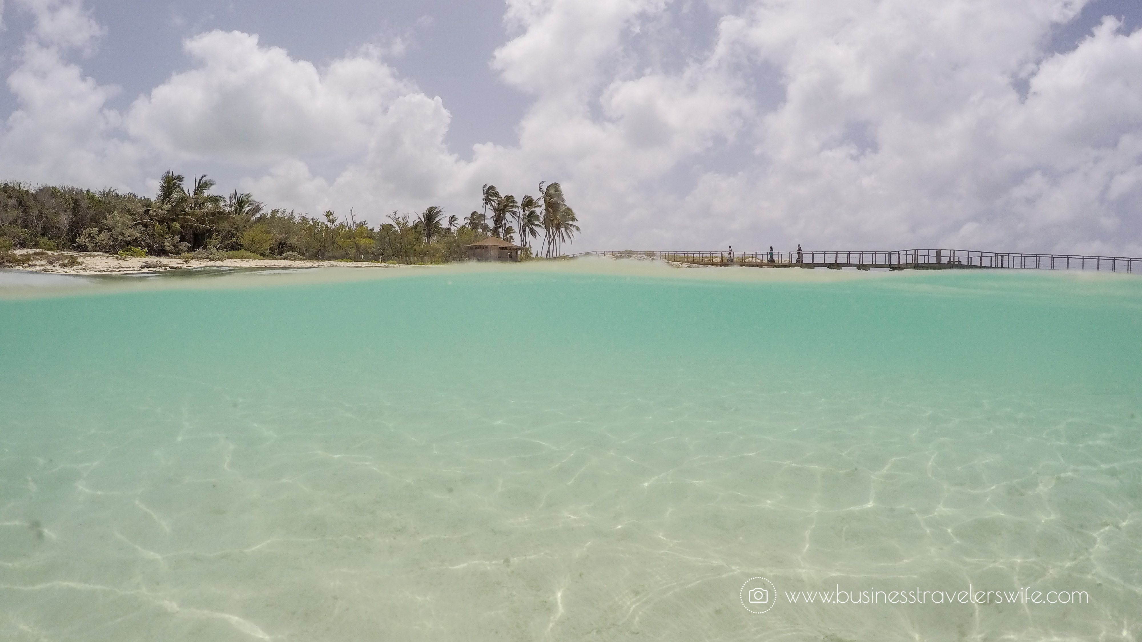VIP Beach Day and Dolphin Encounter on Blue Lagoon Island, Bahamas