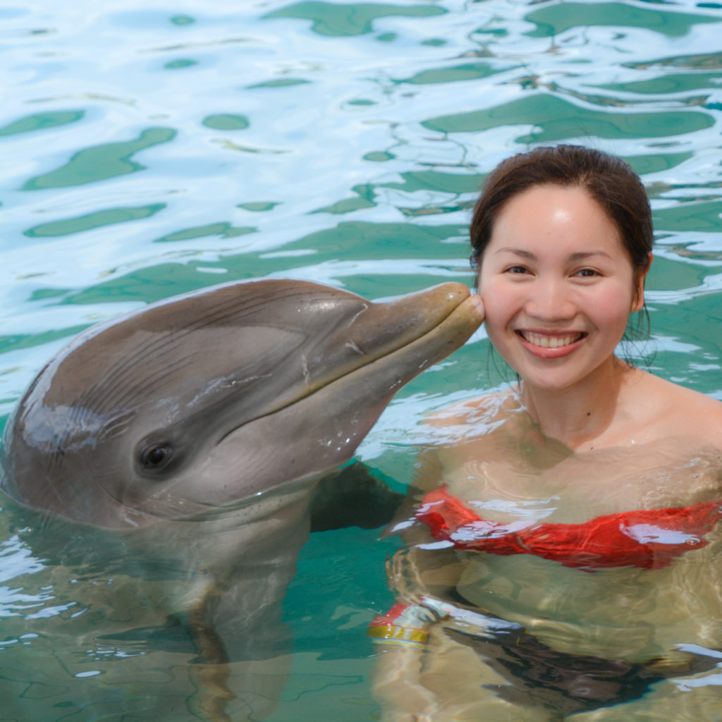 VIP Beach Day and Dolphin Encounter on Blue Lagoon Island
