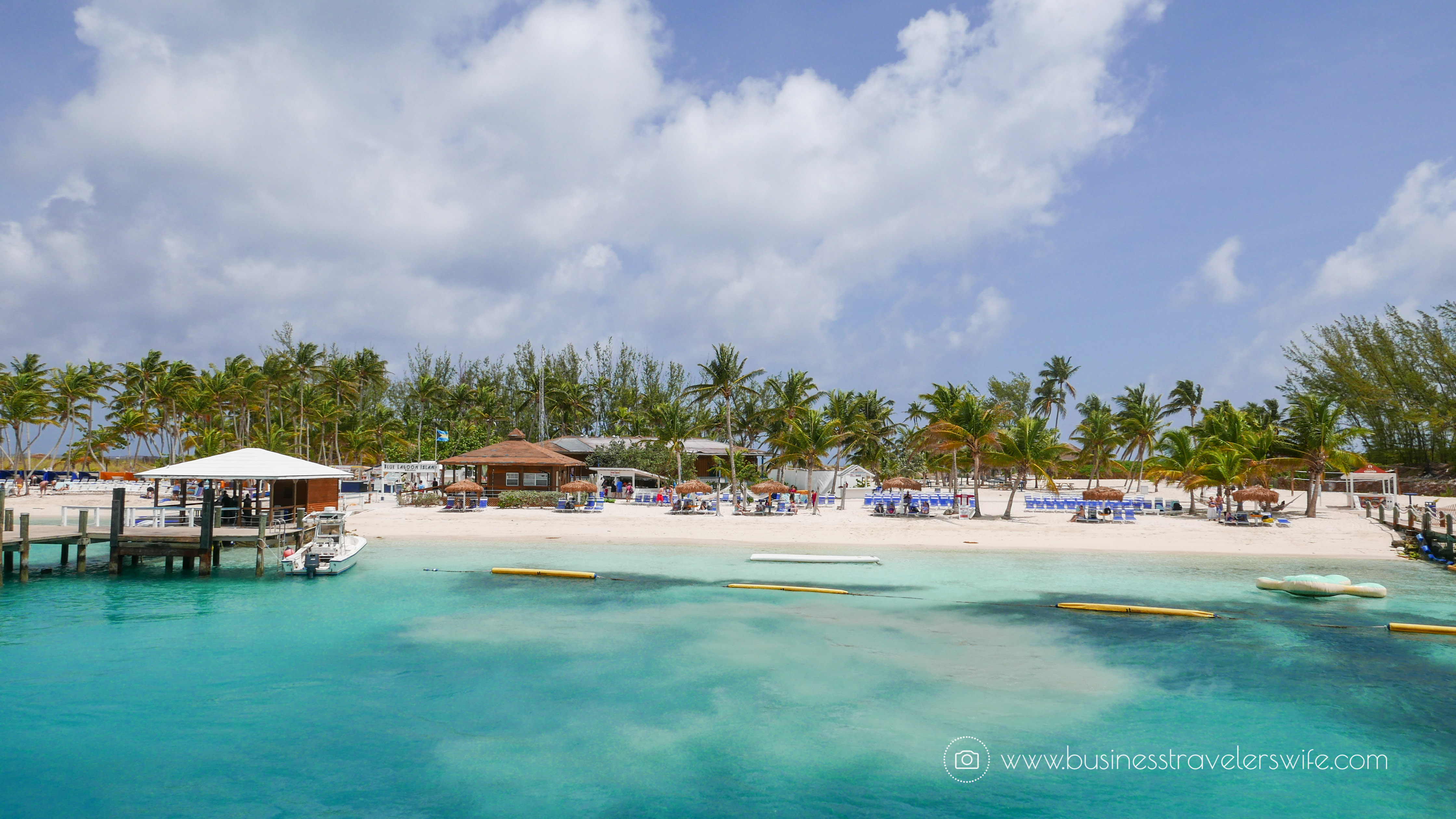 VIP Beach Day and Dolphin Encounter on Blue Lagoon Island, Bahamas