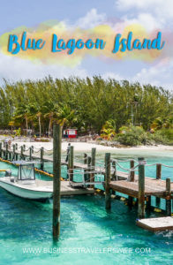 VIP Beach Day and Dolphin Encounter on Blue Lagoon Island