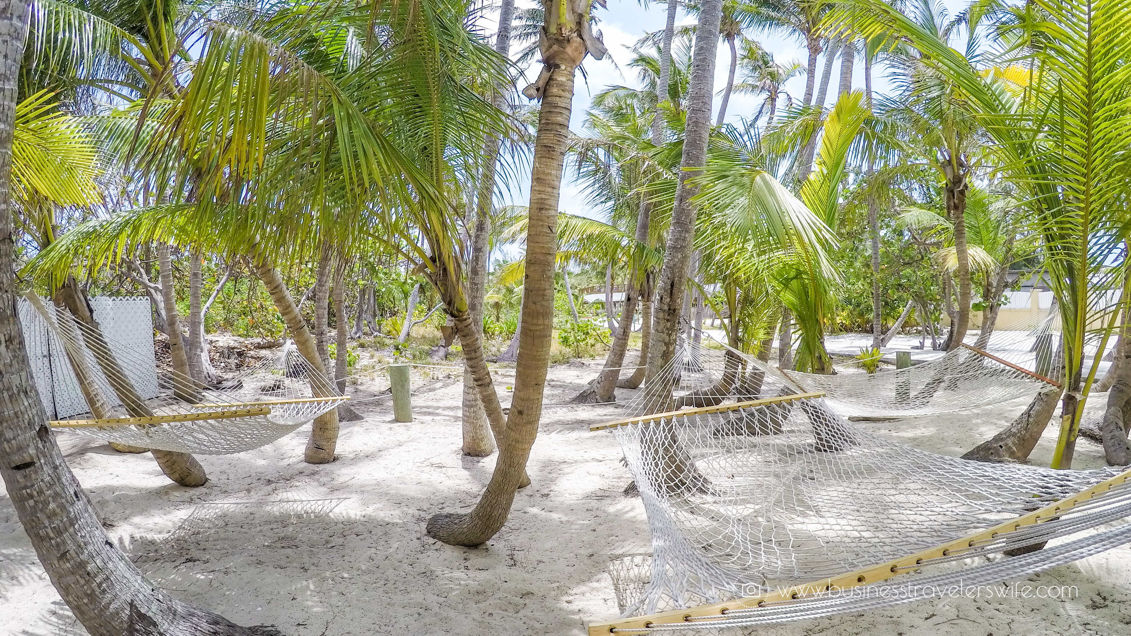 VIP Beach Day and Dolphin Encounter on Blue Lagoon Island, Bahamas Exclusive Lounge Coconut Grove Hammocks