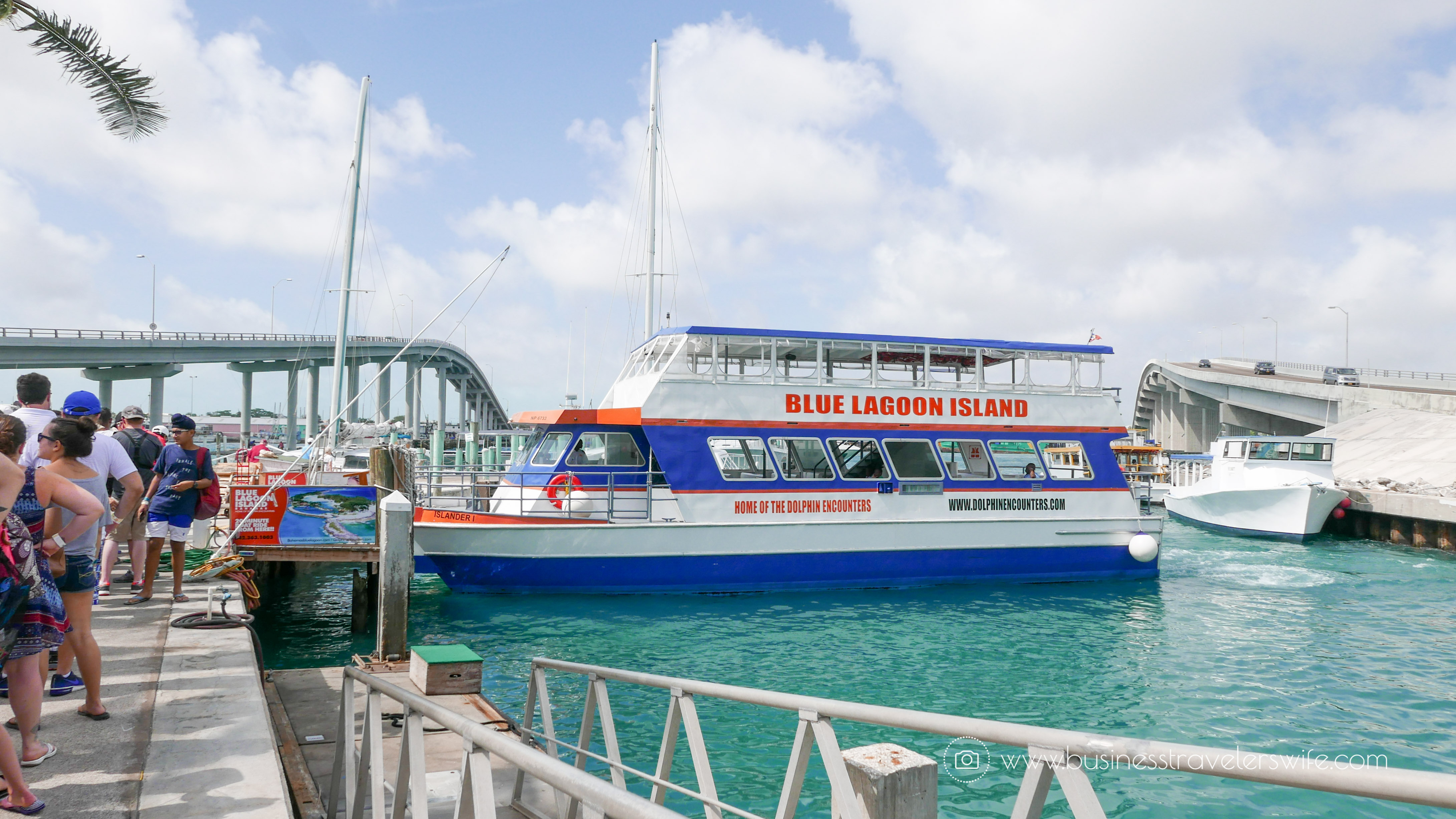 VIP Beach Day and Dolphin Encounter on Blue Lagoon Island, Bahamas Ferry Catamaran