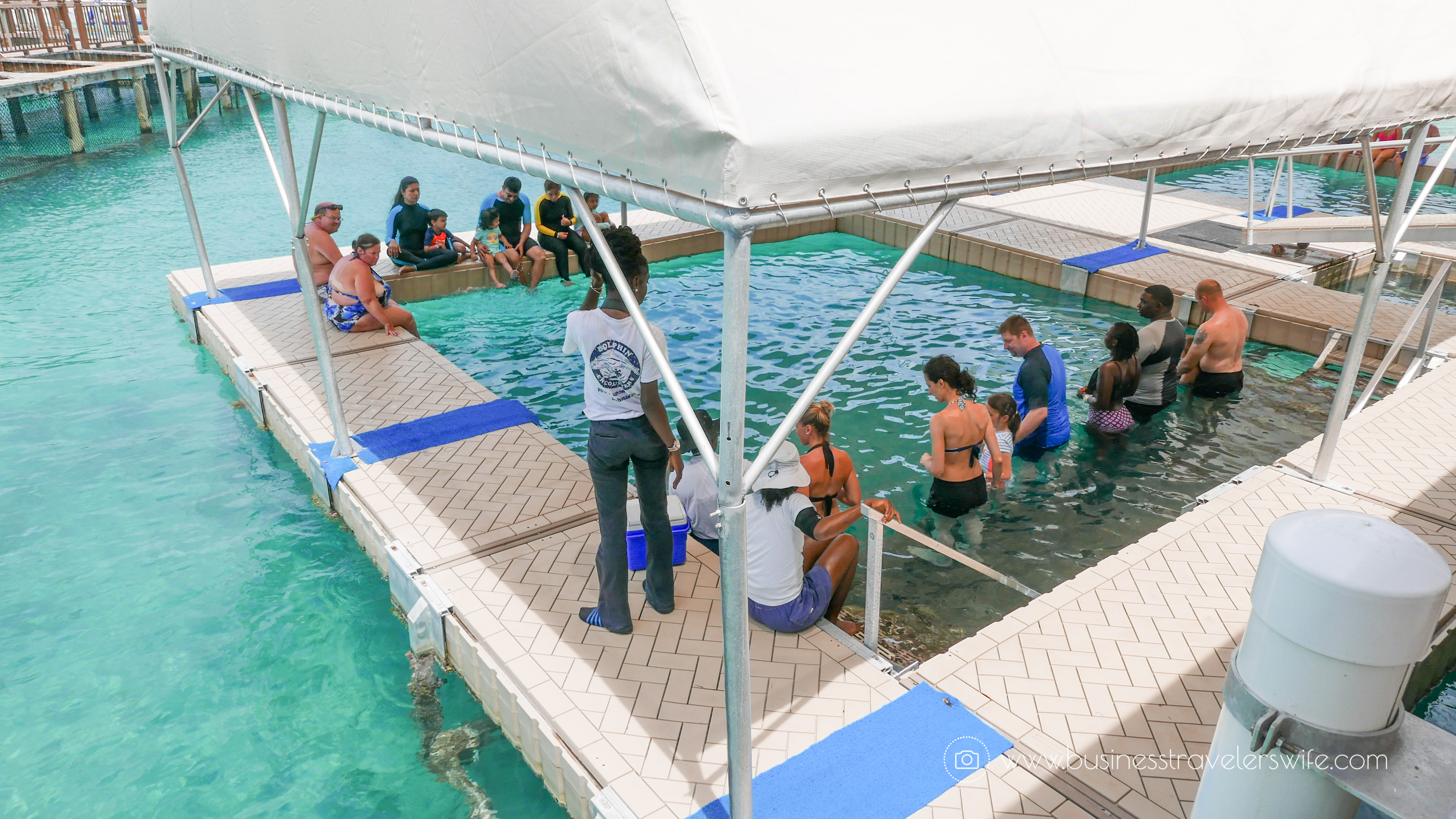 VIP Beach Day and Dolphin Encounter on Blue Lagoon Island, Bahamas Float Platform