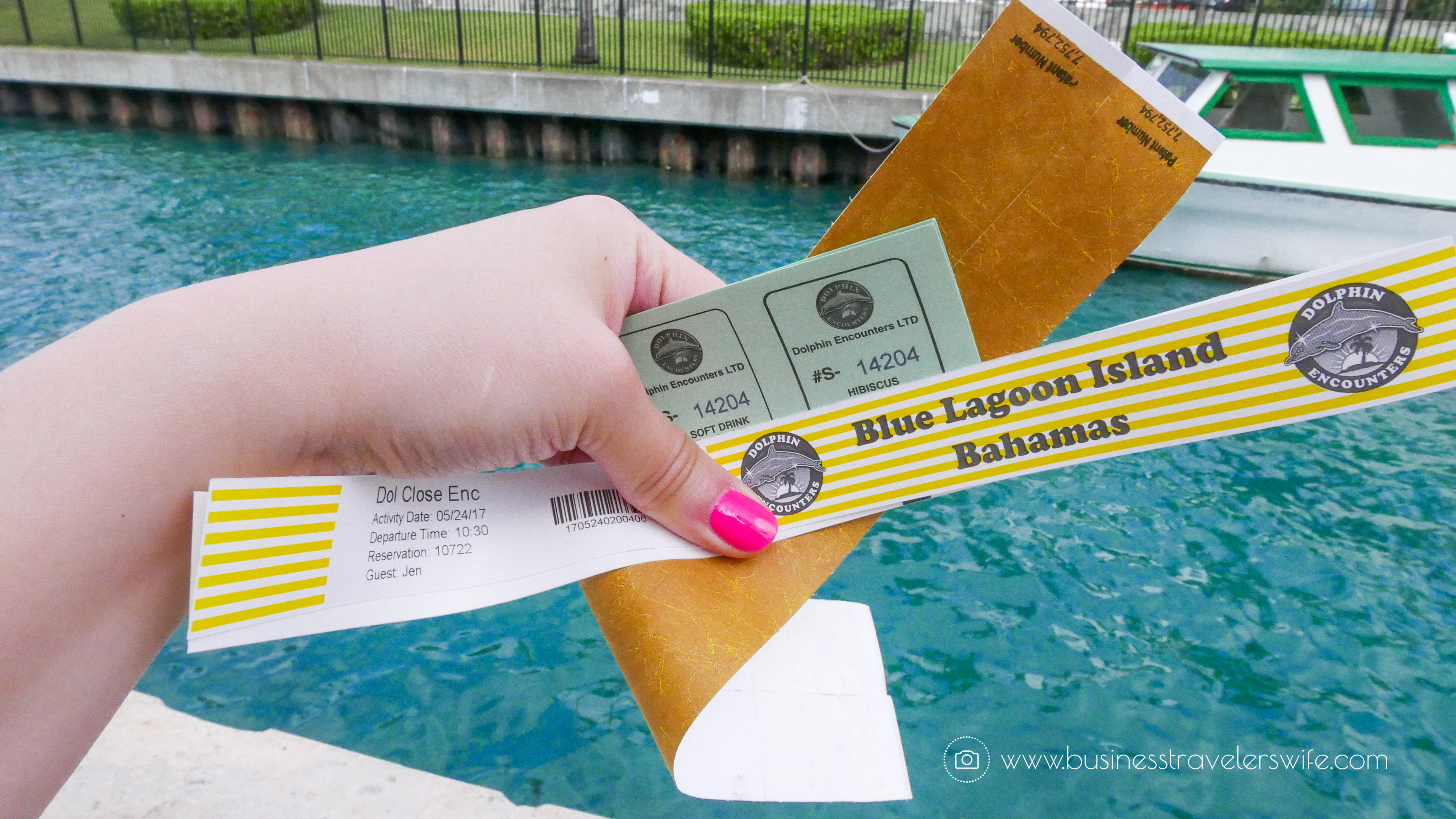 VIP Beach Day and Dolphin Encounter on Blue Lagoon Island, Bahamas Wristbands Passes
