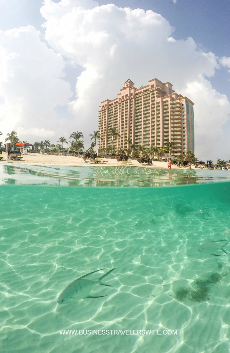 Pinterest The Cove Atlantis - Autograph Collection at Paradise Island, Bahamas