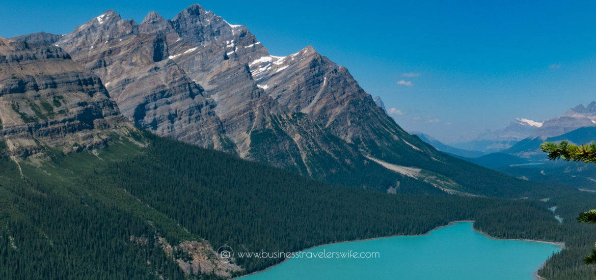 Featured Image Scenic Summer Roadtrip to the Canadian Rockies Peyto Lake